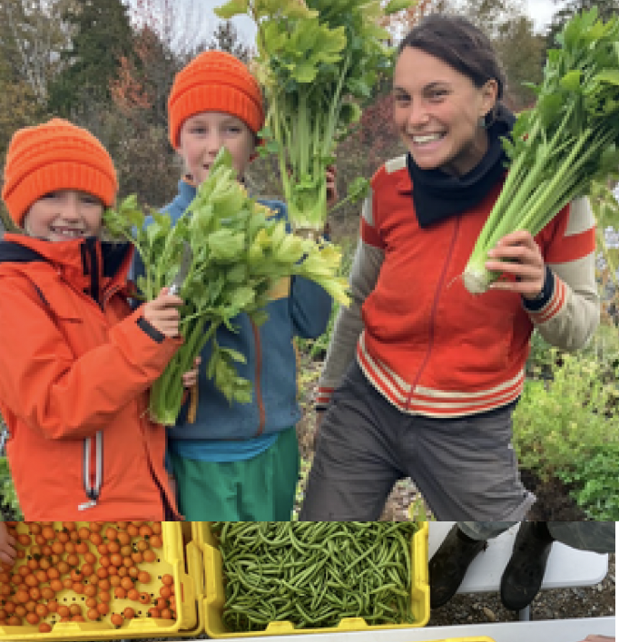 Sharing the Harvest: 2025 Highlights from Healthy Acadia’s Downeast Gleaning Initiative