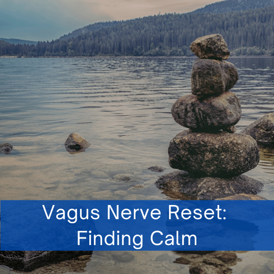 Monthly Mindfulness Series to Explore Vagus Nerve and Stress Relief