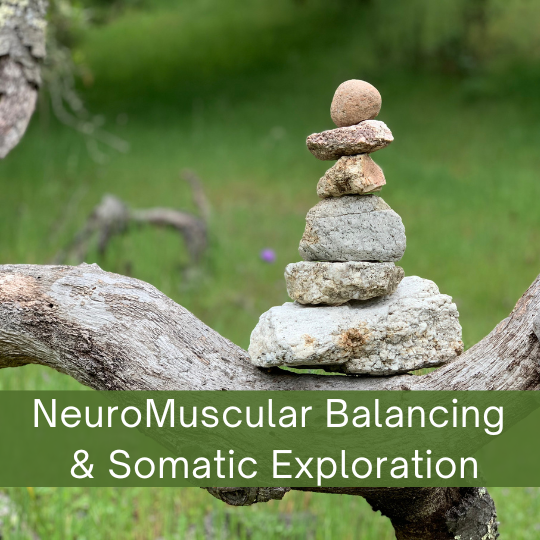 Join a Free Online Mindfulness Session to Learn Gentle Stretches and Body Awareness