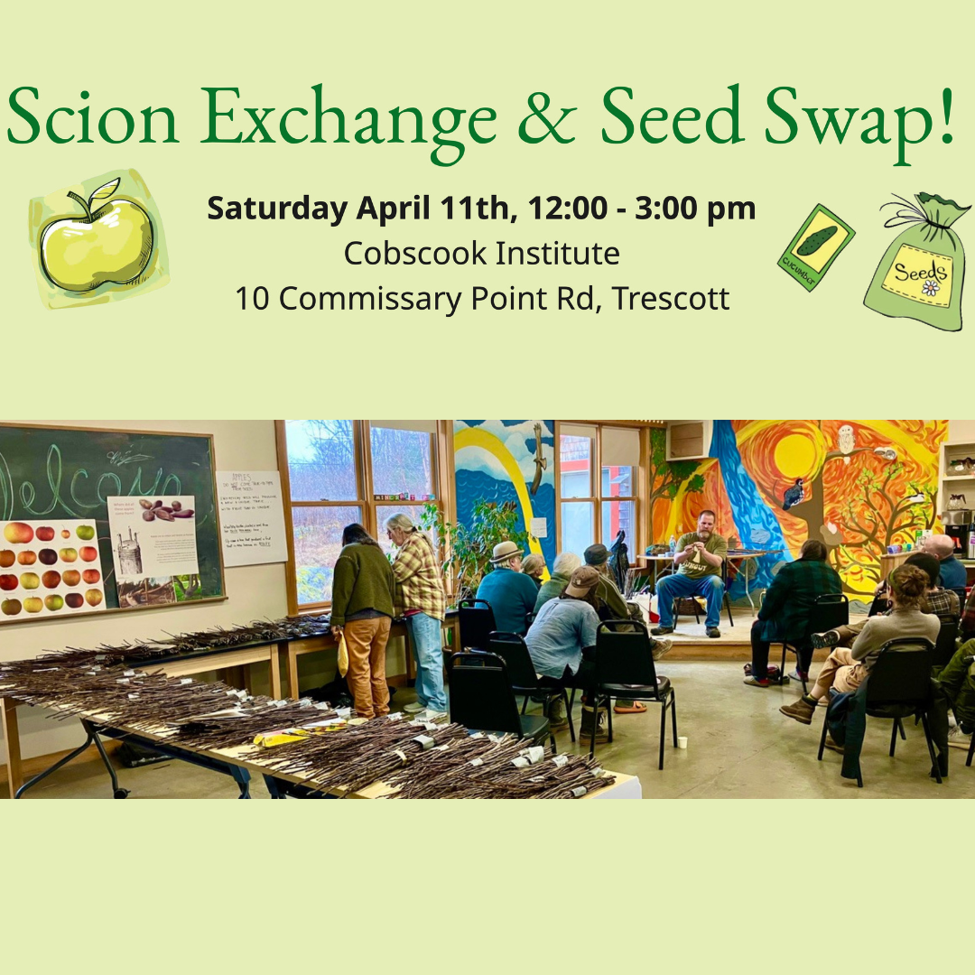 Scion Exchange and Seed Swap Set for April 11 at Cobscook Institute