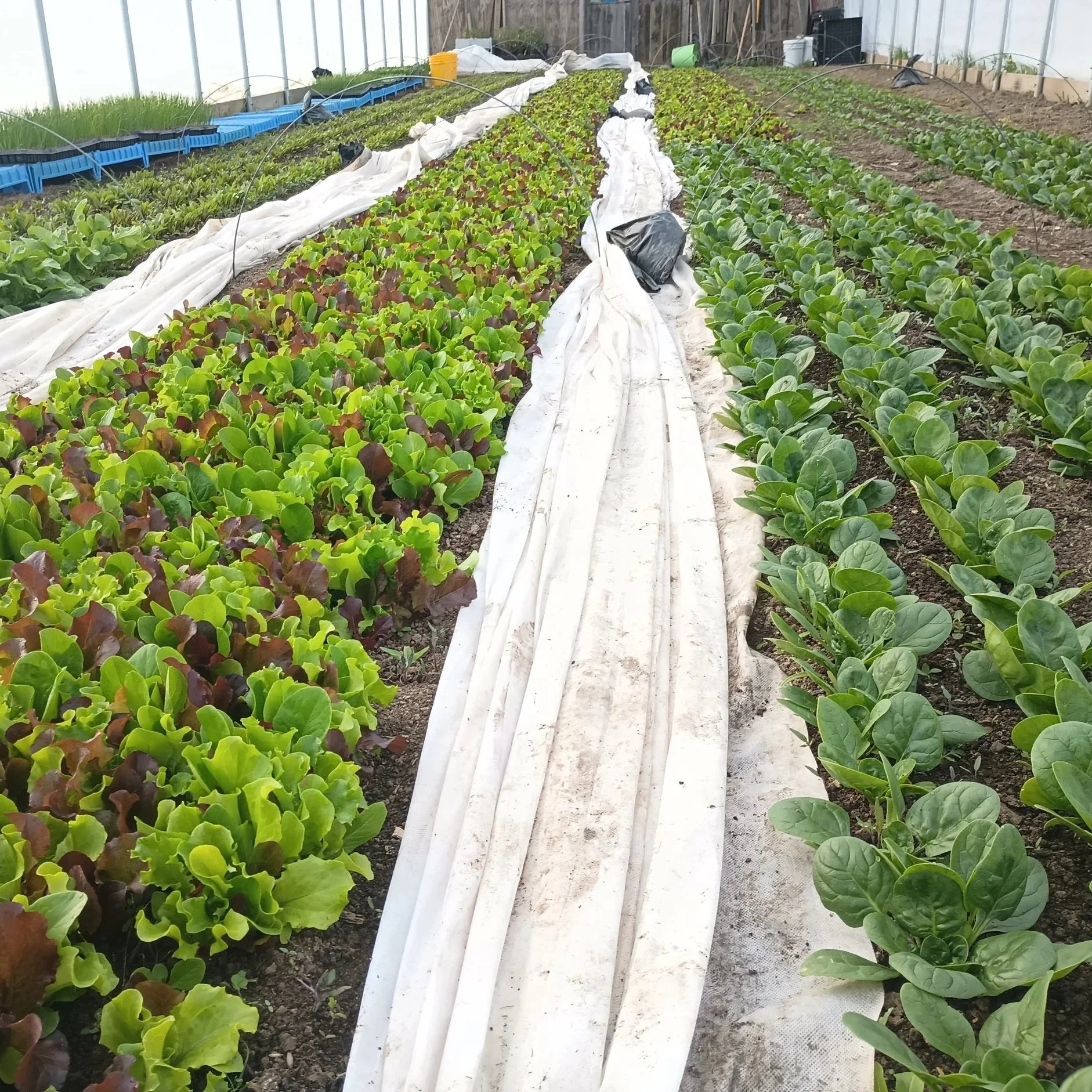 Help Shape the Future of Downeast Maine’s Food System