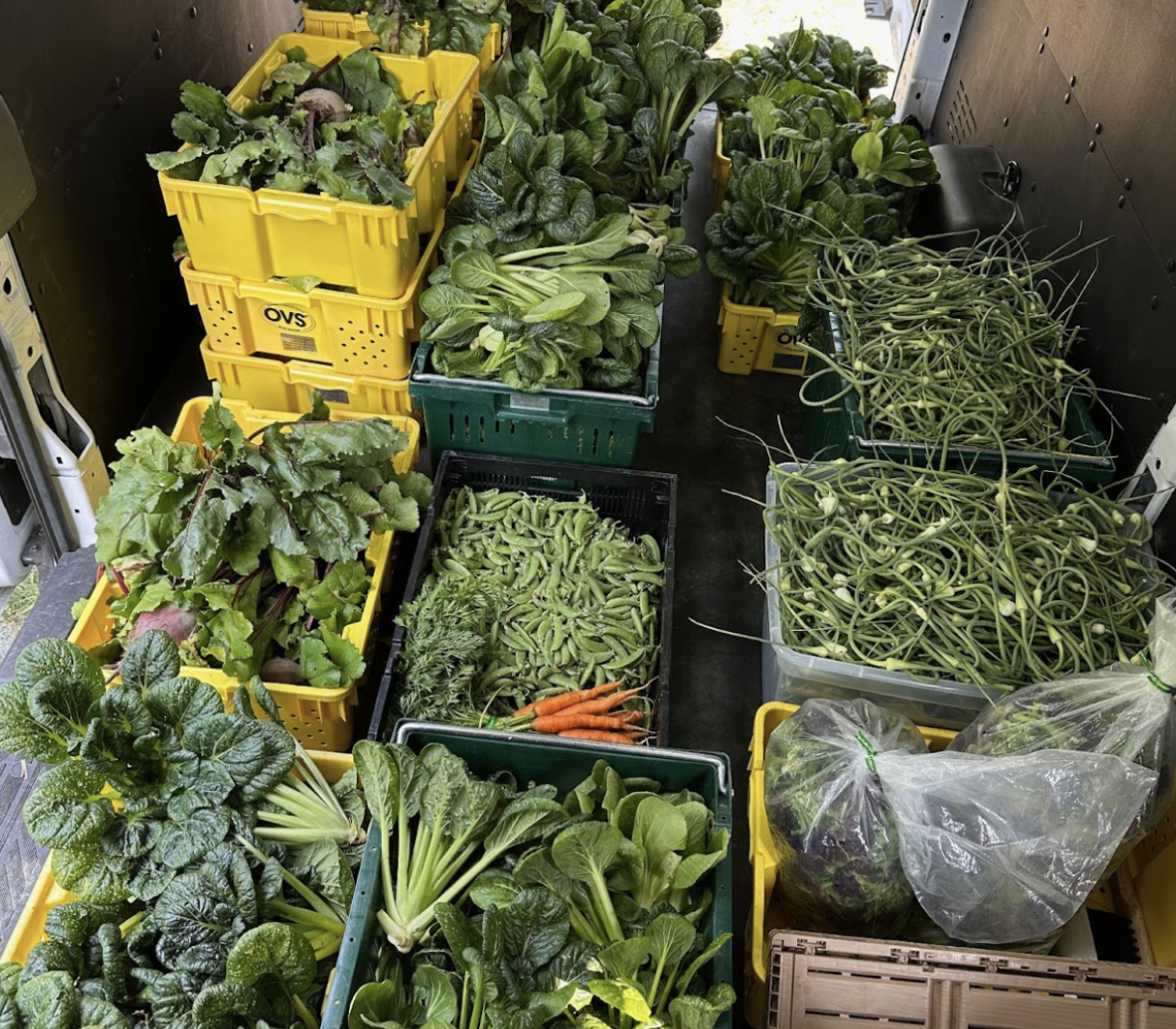 AmeriCorps Summer Associate Opportunity with Healthy Acadia