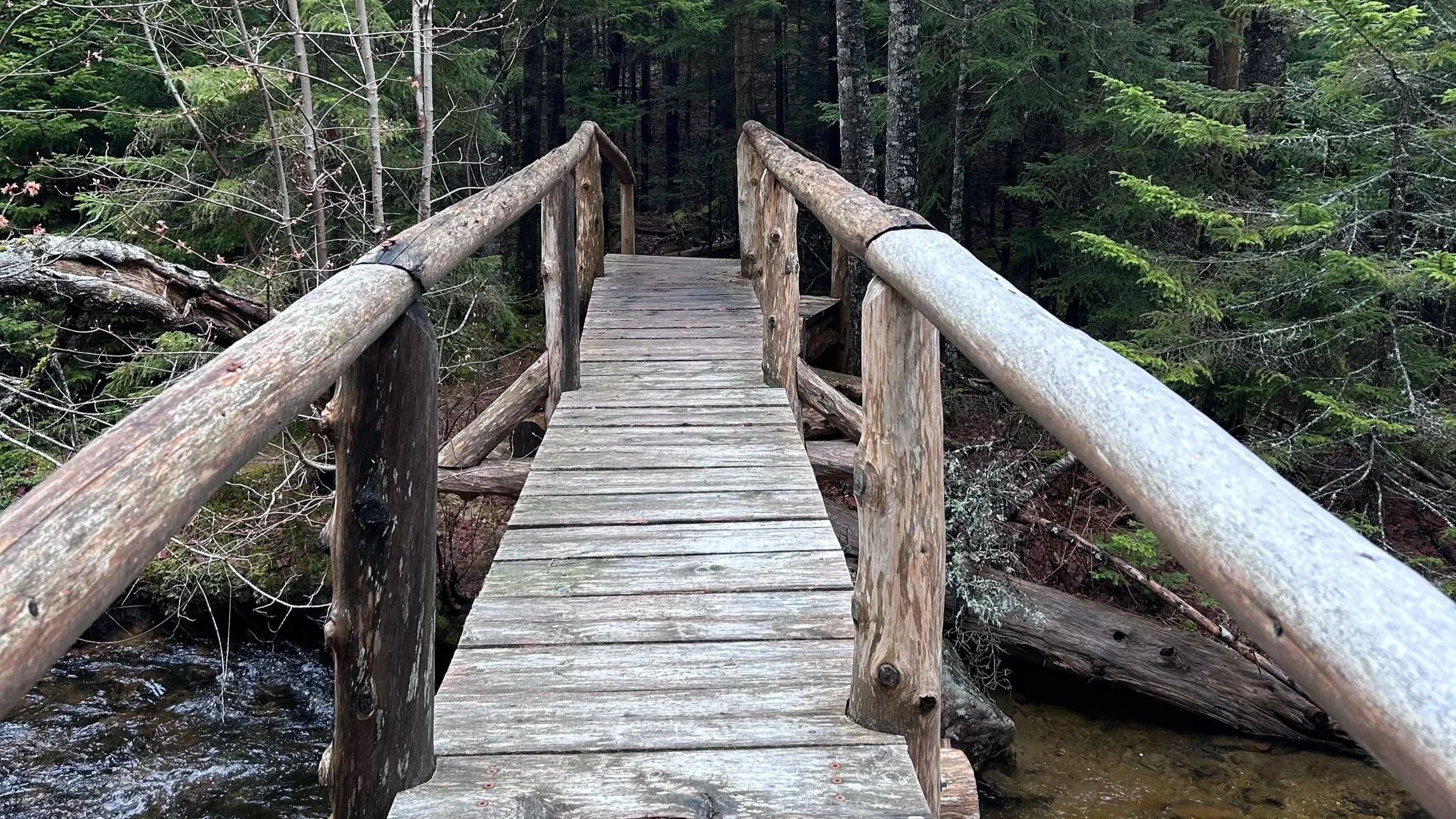 bridge.jpg