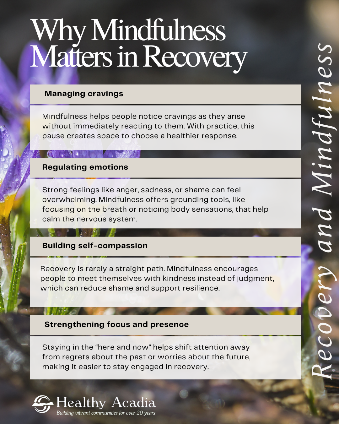 Mindfulness - A Gentle Practice for Healing on the Recovery Journey ...