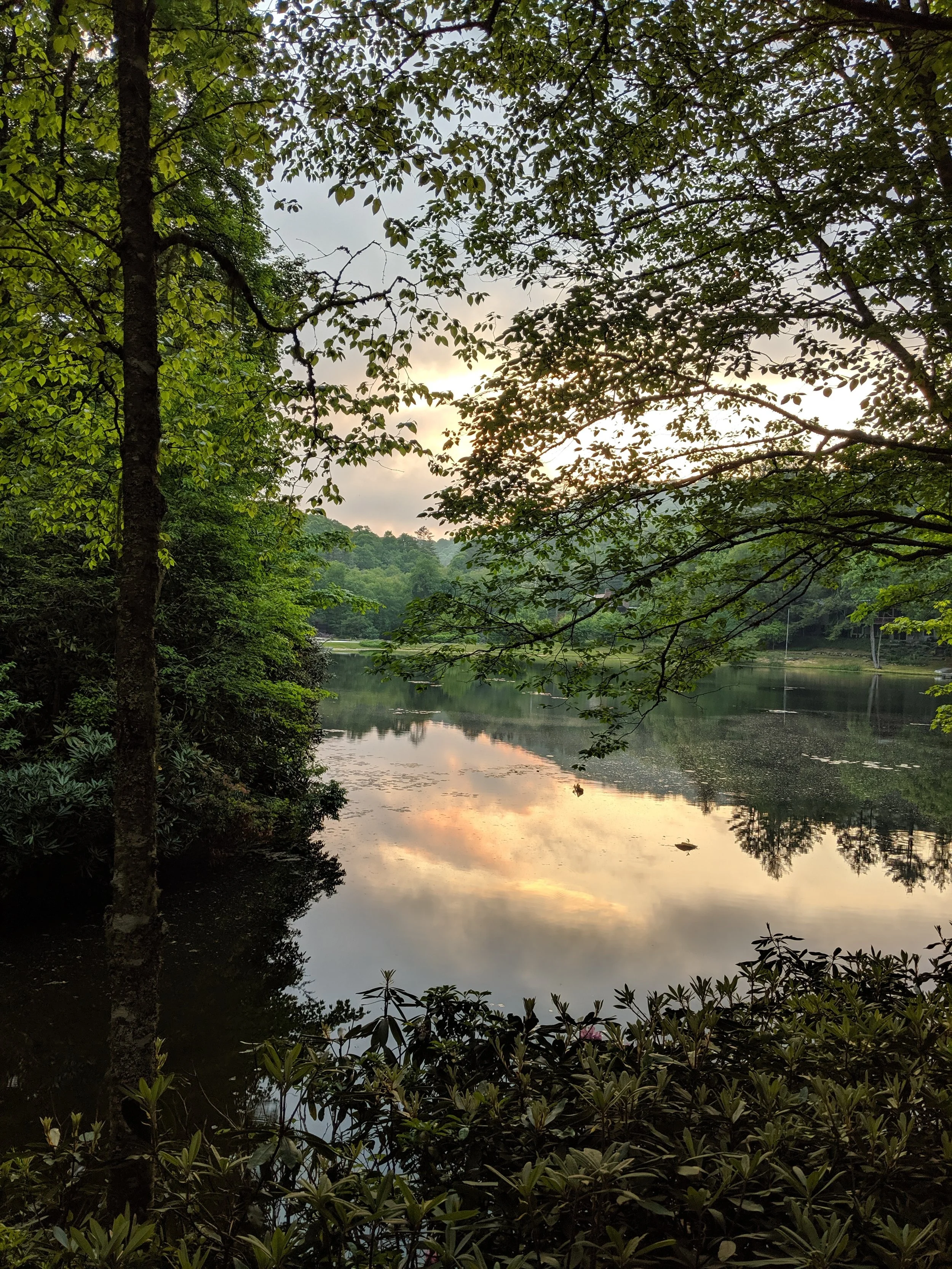Lake.jpg
