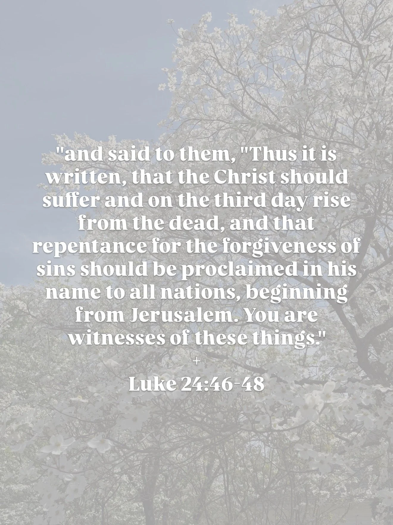 Happy Easter from Come and See Travel!