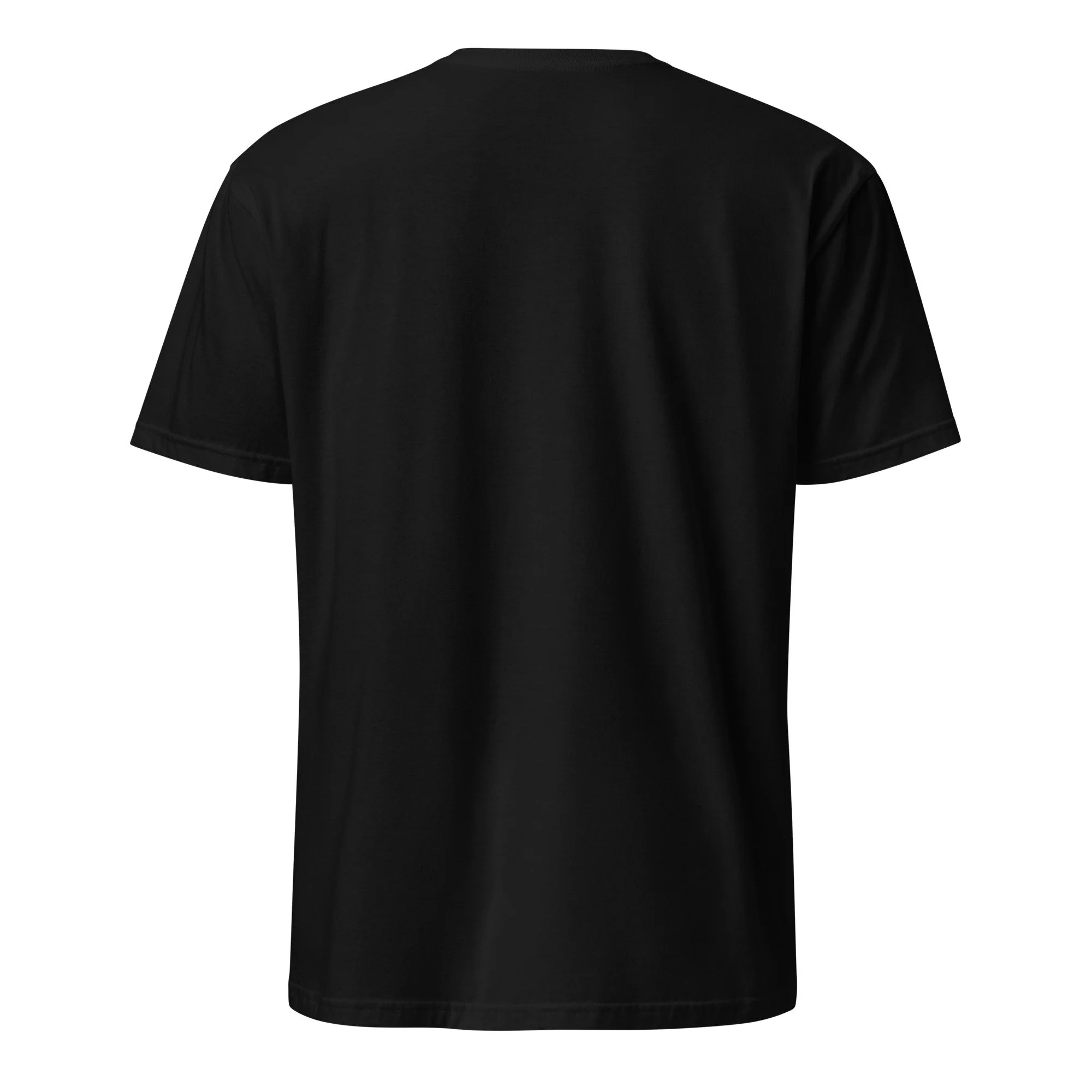 unisex-basic-softstyle-t-shirt-black-back-695b2d049410d.jpg