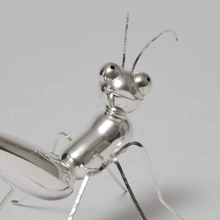 Mr. Ant 3.jpg