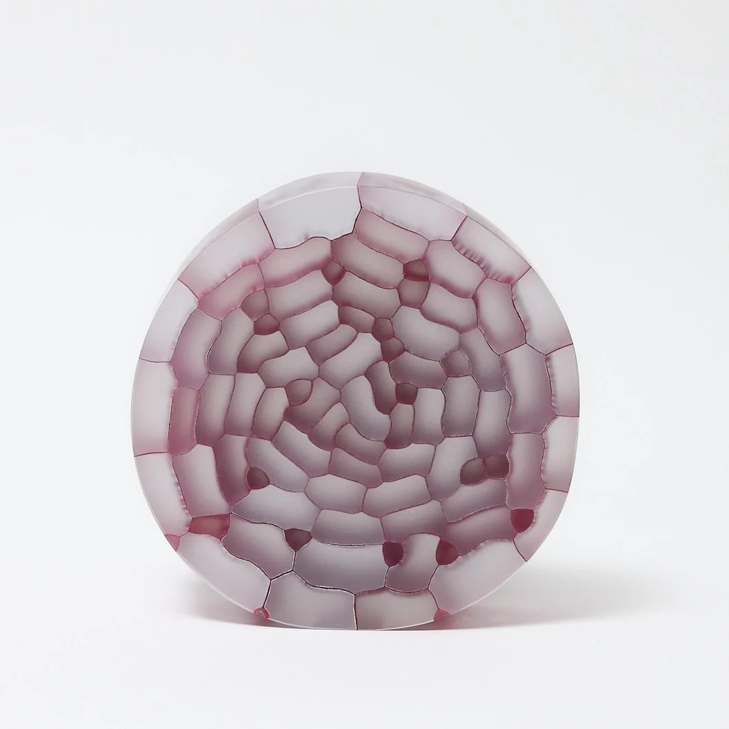 Botanical Structure Pink/White