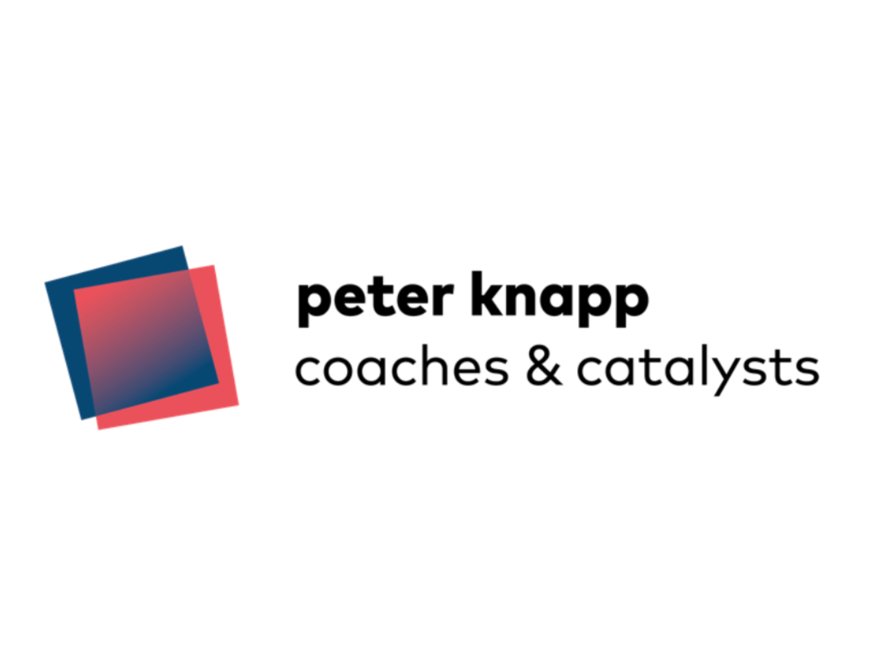 Logo Peter Knapp@2x.png