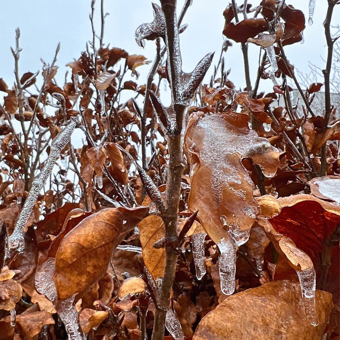 Kalt und sch&ouml;n. Winter in der Stadt. ❄️
W&auml;rend wir auf Bildschirme starren, macht die Natur eiskalt ihr Ding.