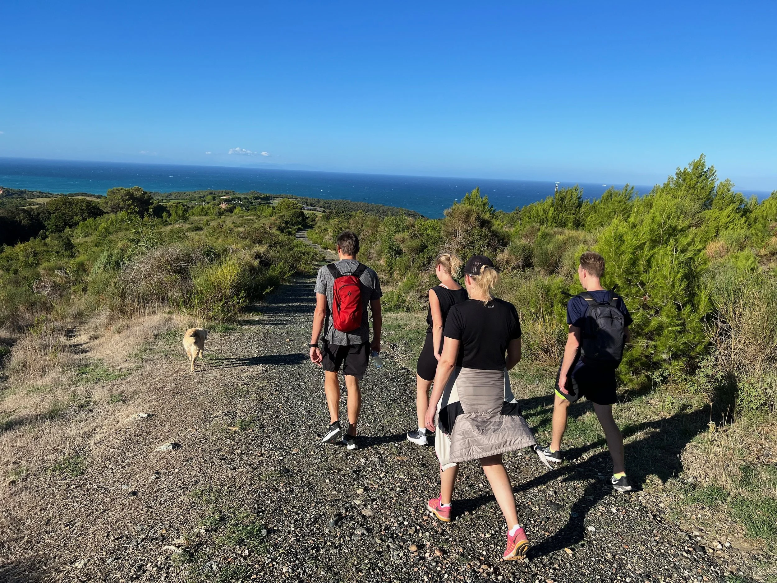 Best of Lynxeye in Italy 2022 - 107 of 297.jpeg