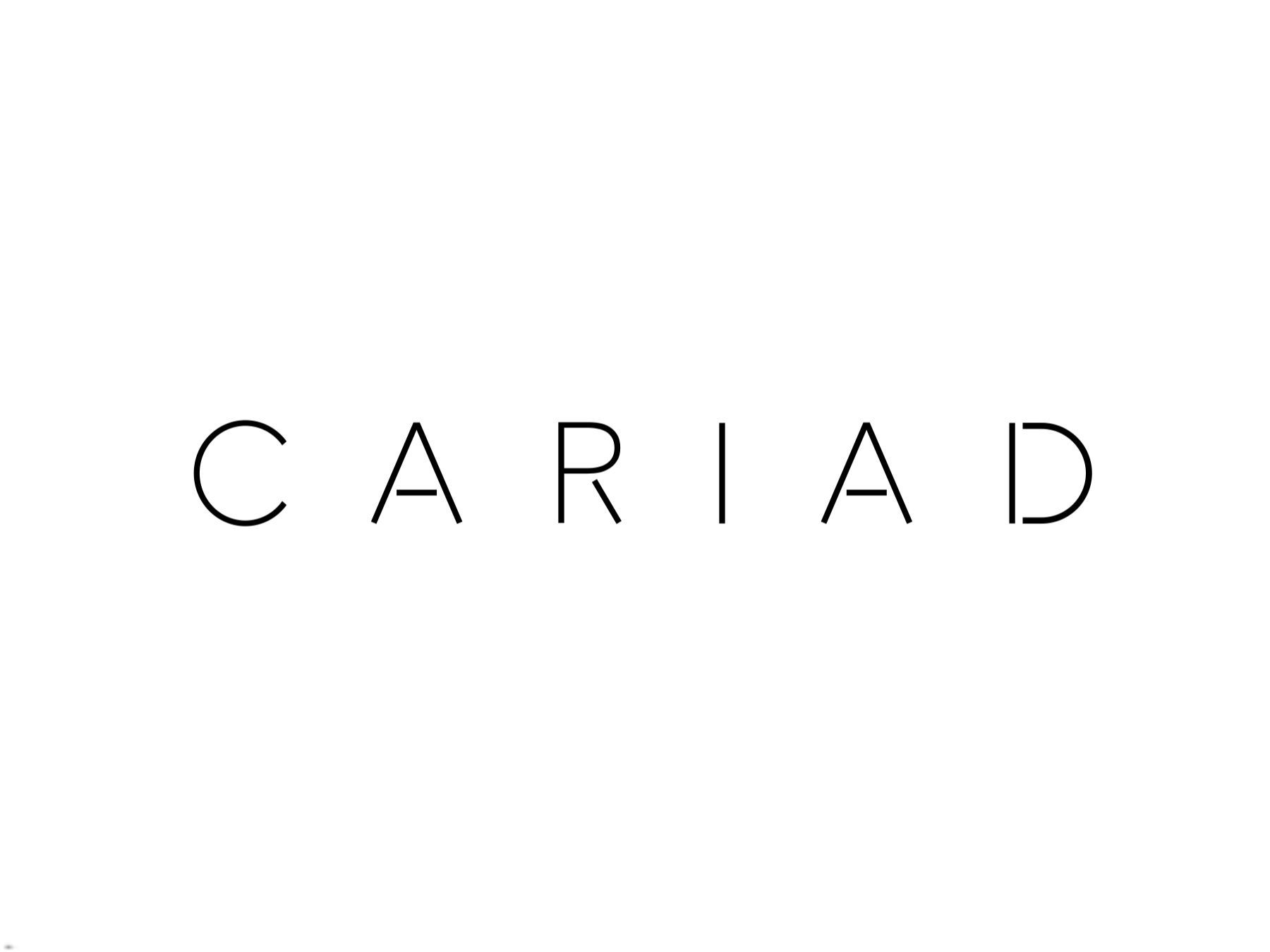 Logo CARIAD@2x.png