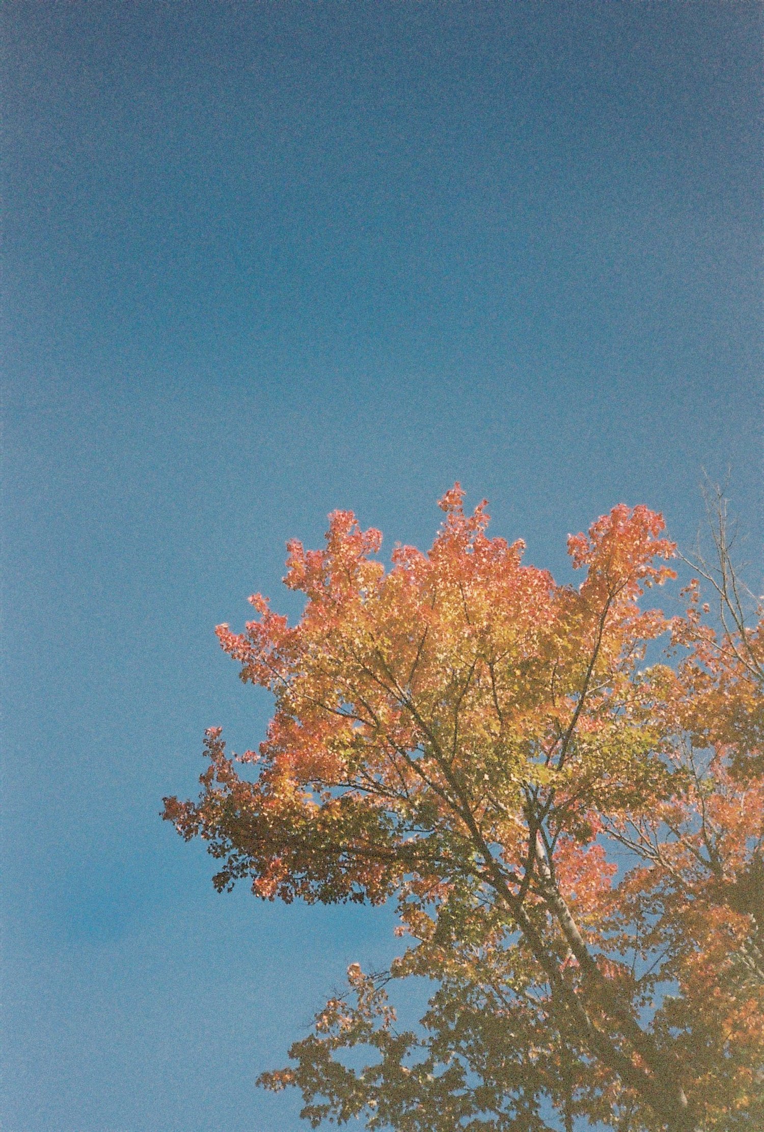 4822-17a.JPG