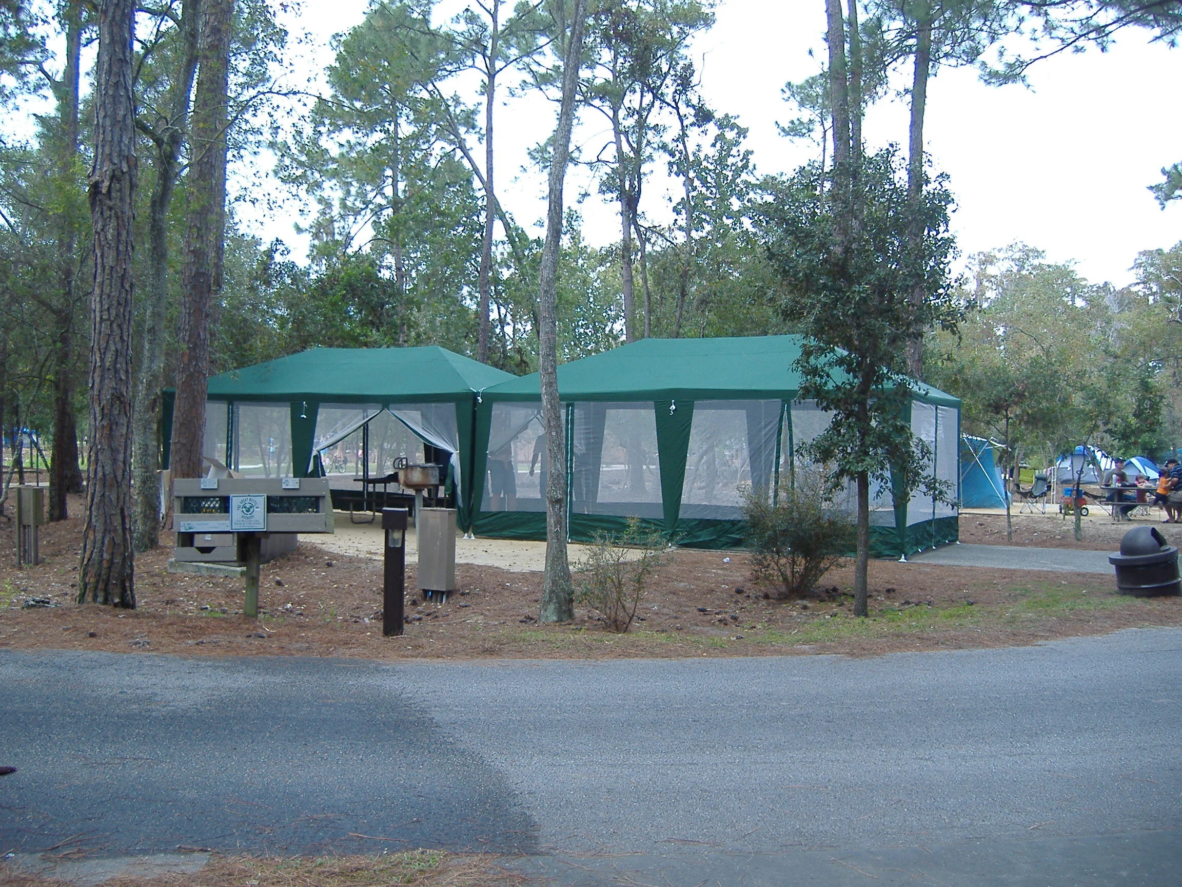 DSCF0905.JPG