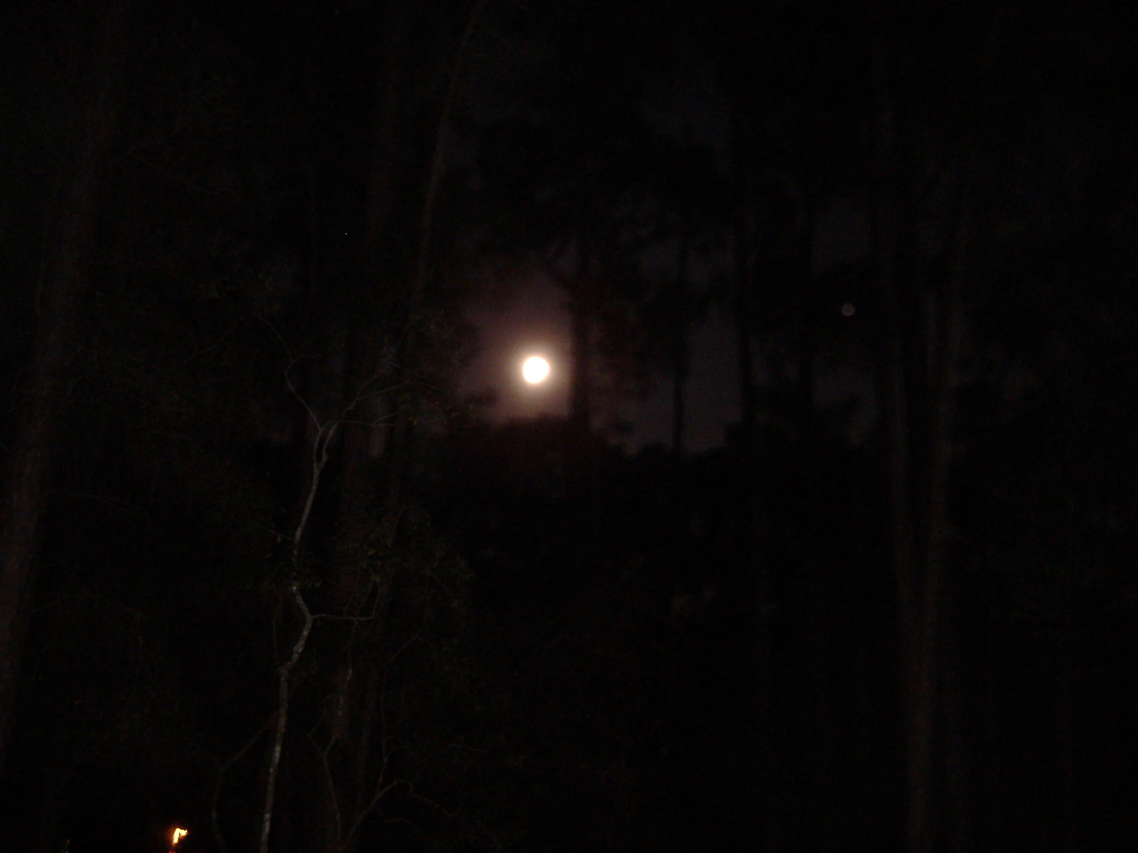 DSCF0943.JPG
