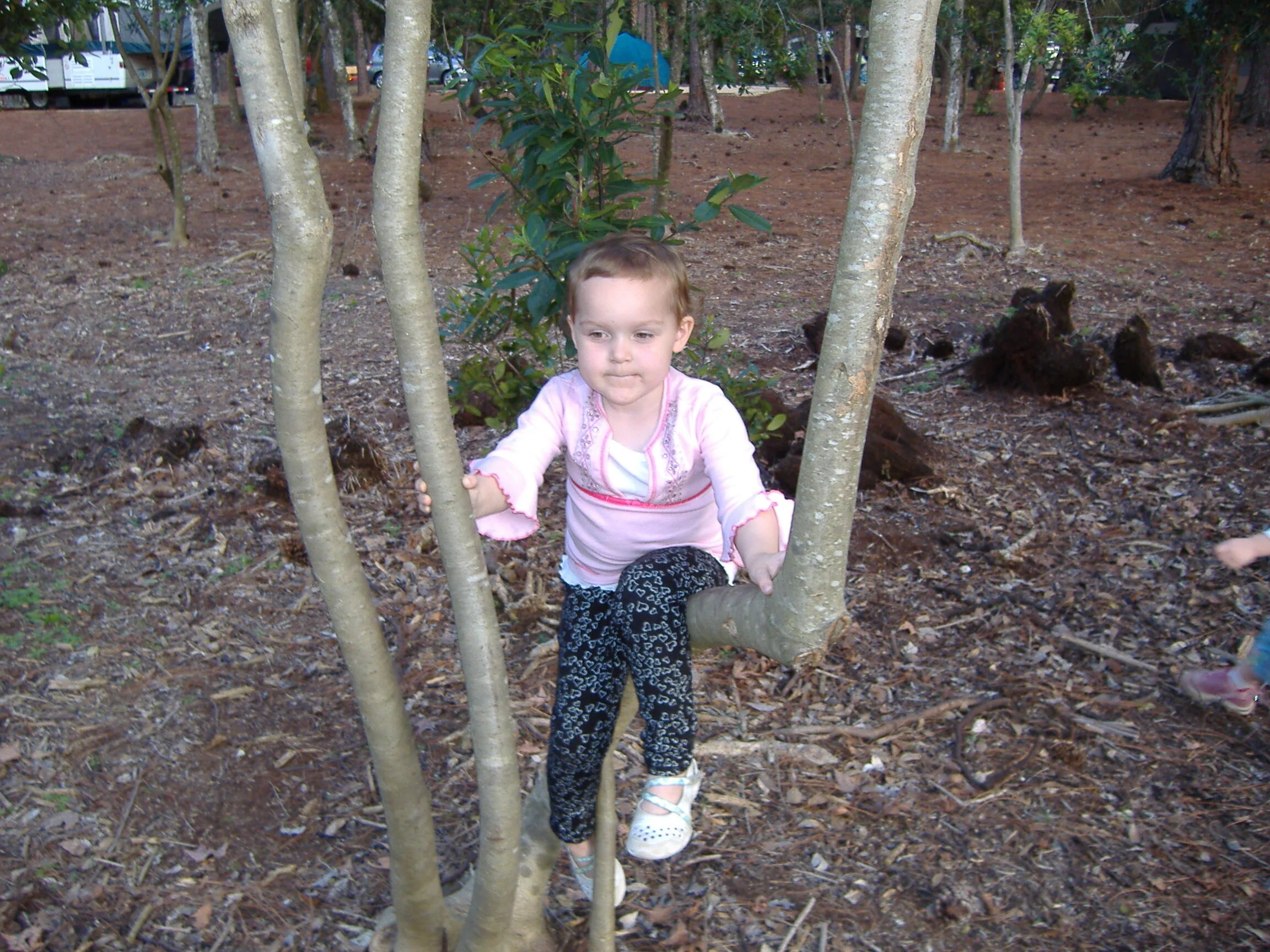 DSCF1598.JPG
