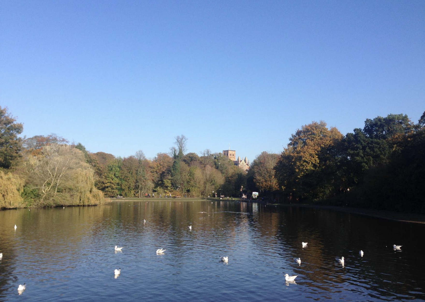 Screenshot 2026-02-18 at 14.53.24.png