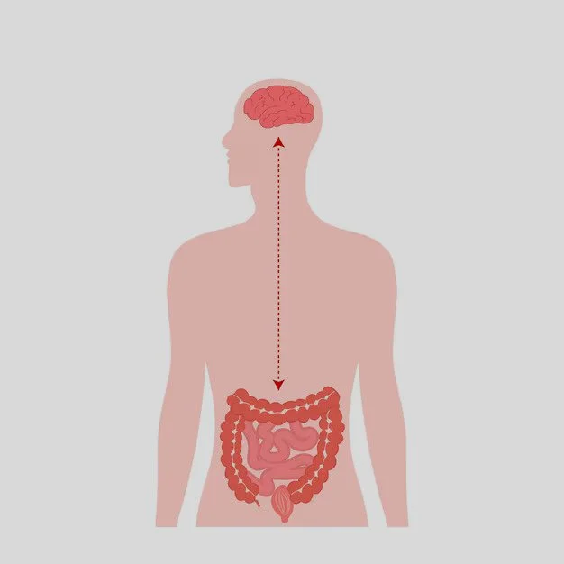 The Gut-Brain Connection