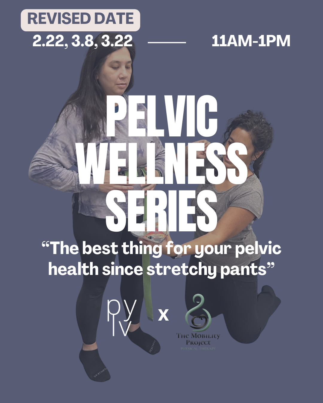PELVIC WELLNESS SERIES