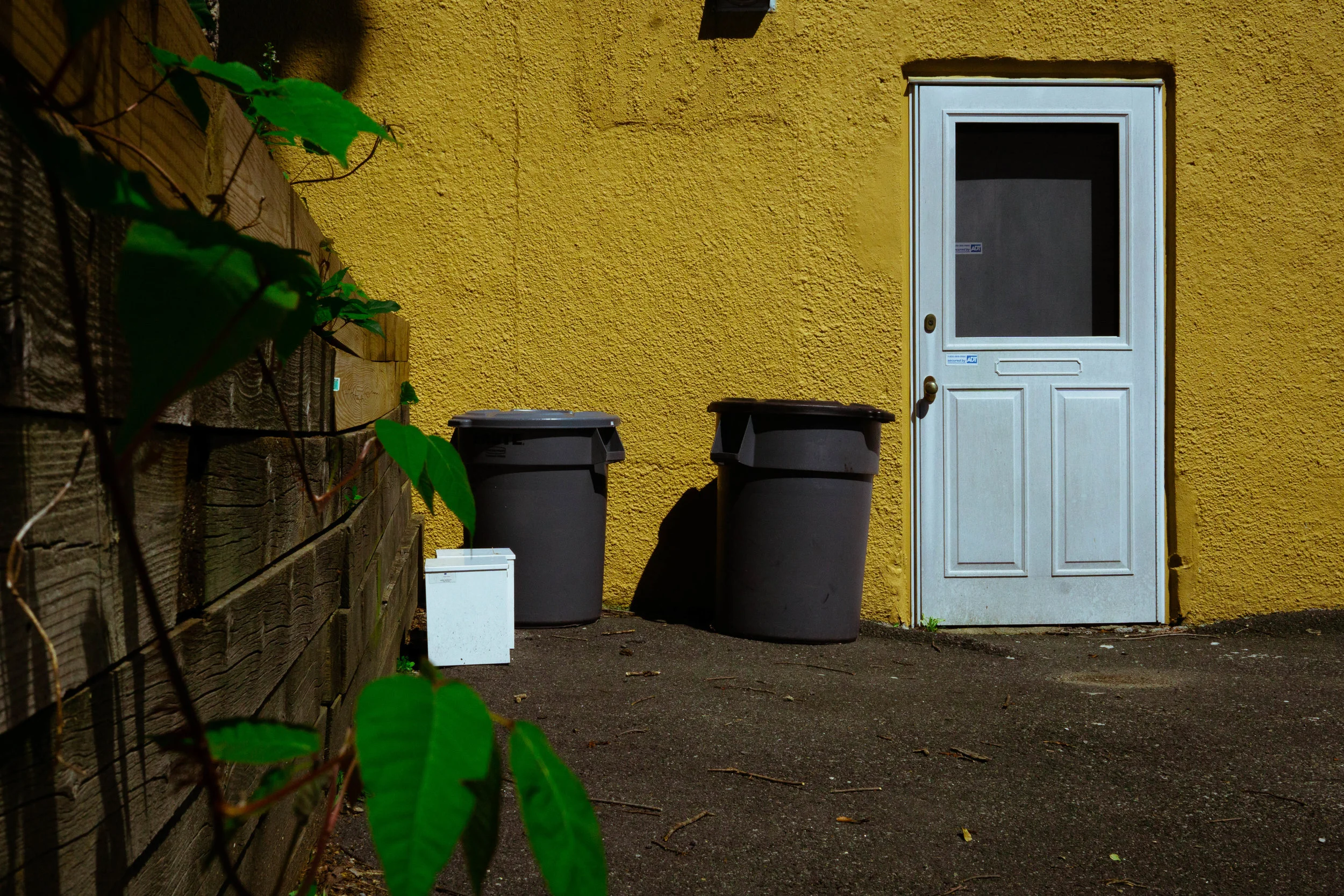 back door (Copy)