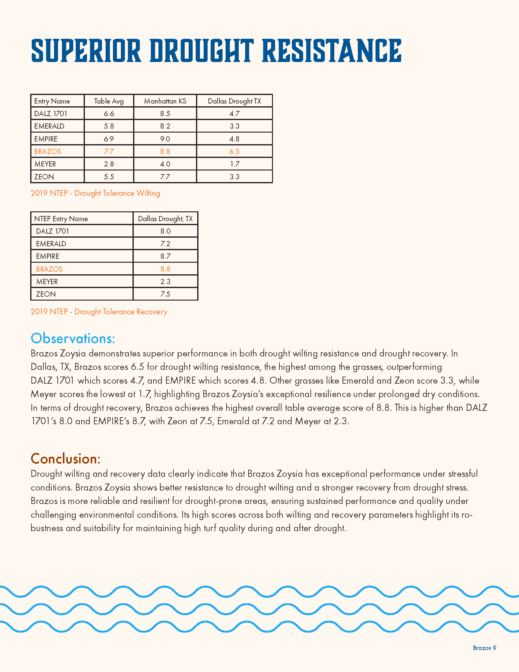 A research report page with a table comparing drought resistance scores of different grass varieties across three locations and providing observations and conclusions about drought resilience. The page has a light beige background, a blue wave patter