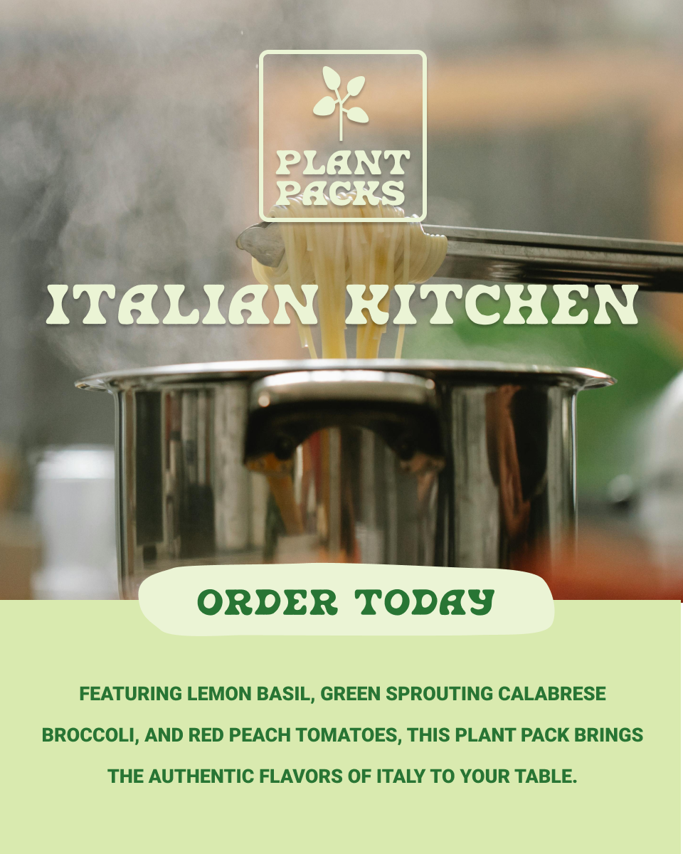 A promotional poster for Plant Packs Italian Kitchen featuring an image of steaming pasta being lifted out of a pot, with the text 'Order Today' and a description of ingredients like lemon basil, green sprouting calabrese broccoli, and red peach toma