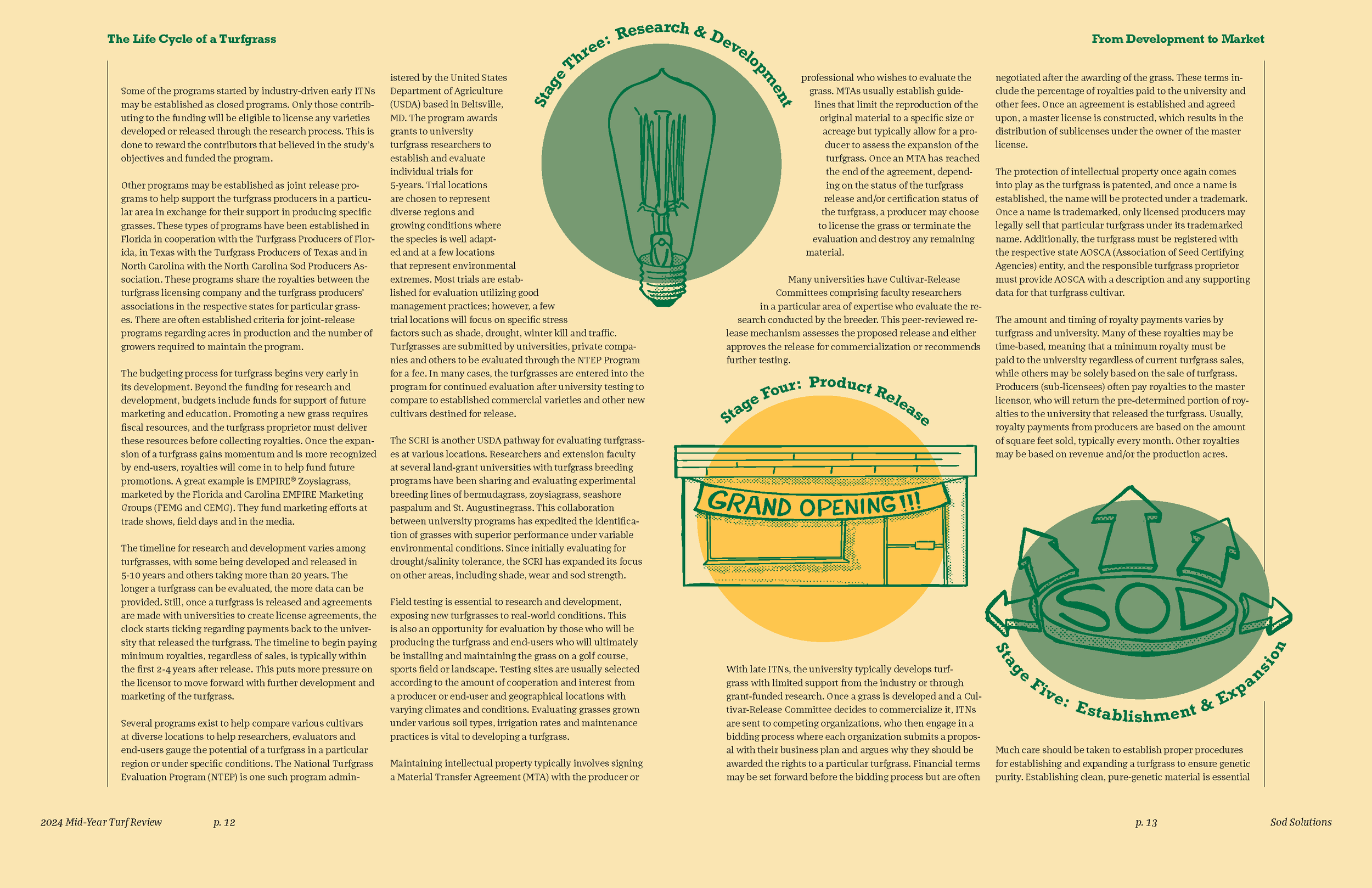 A page from a publication or brochure titled 'Stage Three: Research & Development' with a green light bulb graphic in the center and sections of text on either side discussing turfgrass research, development, and commercialization.