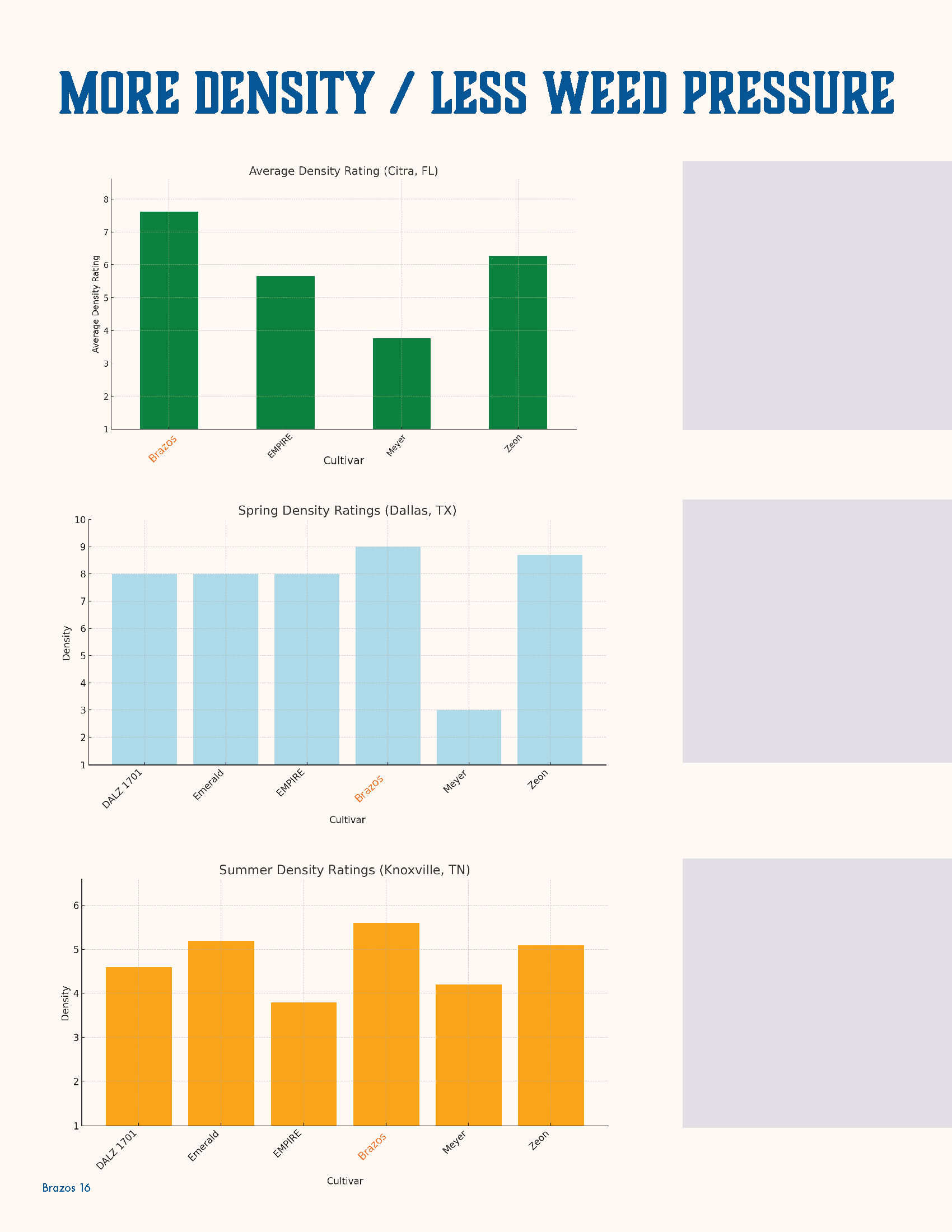 A presentation slide titled 'More Density / Less Weed Pressure' showing bar graphs comparing average density ratings for different cultivars across various locations, with bars in green, blue, and orange.