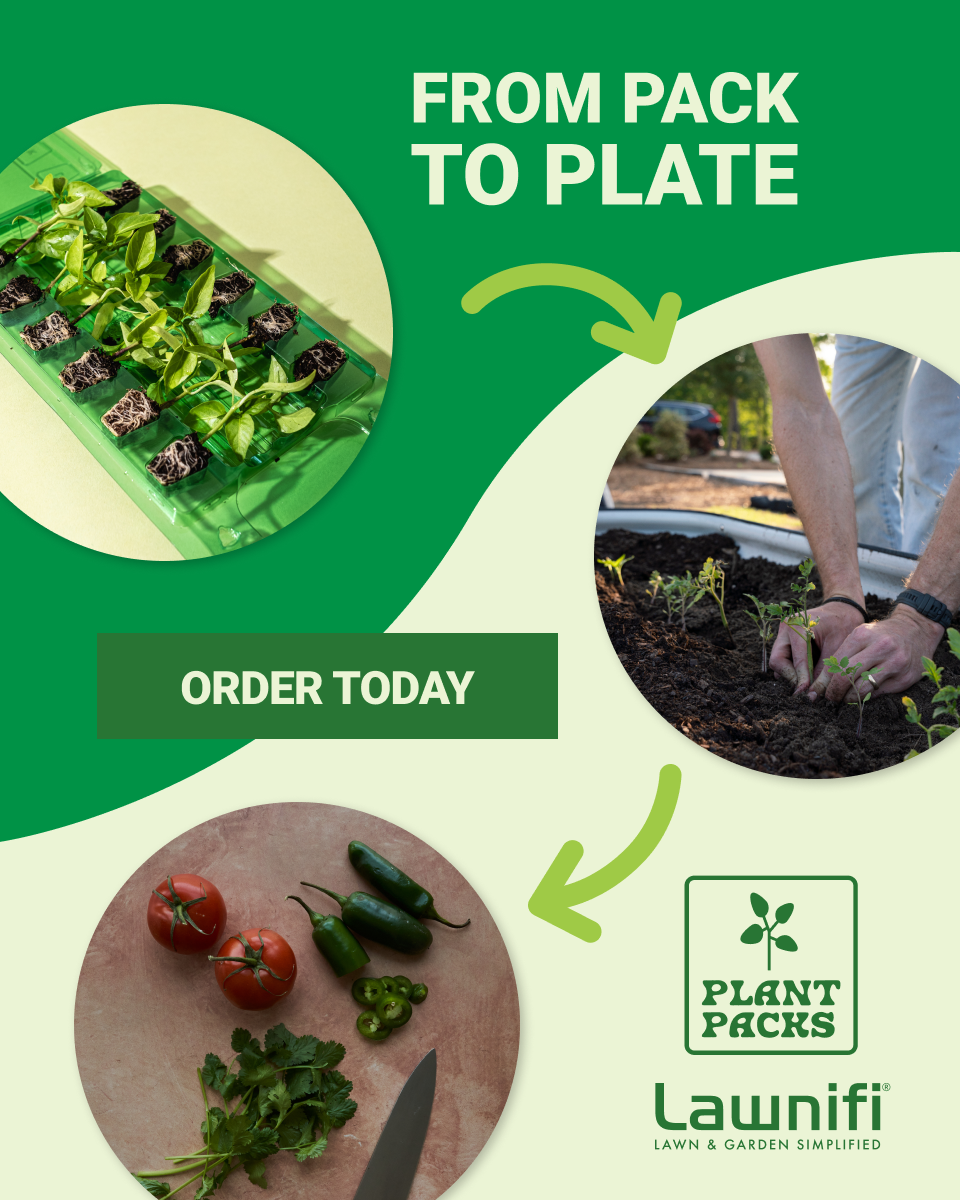 A promotional poster for plant growing kits showing seedlings in a tray, a person planting seedlings in soil, and fresh vegetables including tomatoes and jalapenos, with text encouraging ordering plant packs from Launifi.