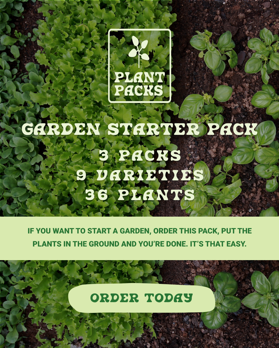 Green leafy plants growing in soil with a promotional overlay for a garden starter pack, including text about ordering the pack and a call-to-action button.