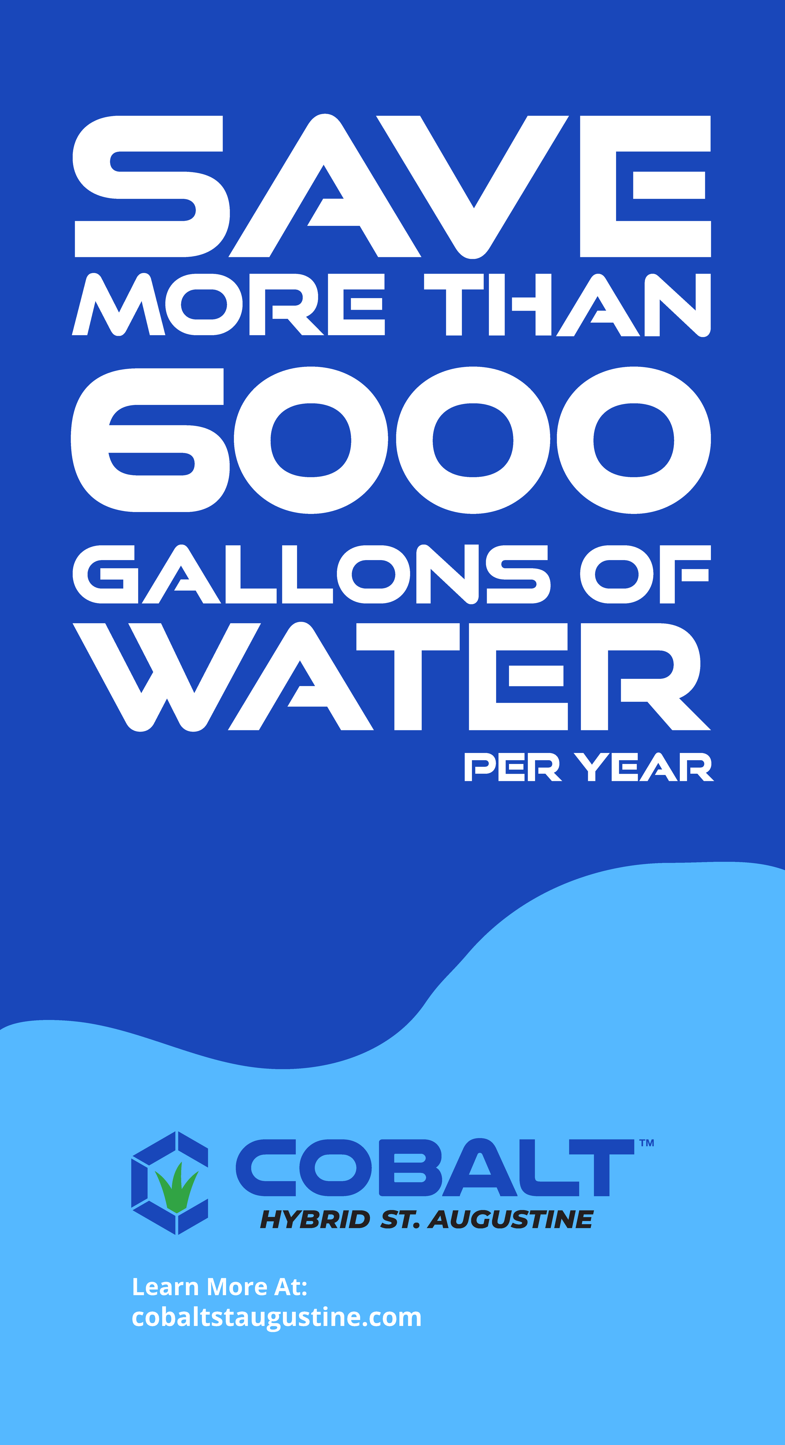 A graphic with the message: 'Save more than 6000 gallons of water per year' in large white text on a blue background, with a wave design and a logo for Cobalt Hybrid St. Augustine at the bottom.