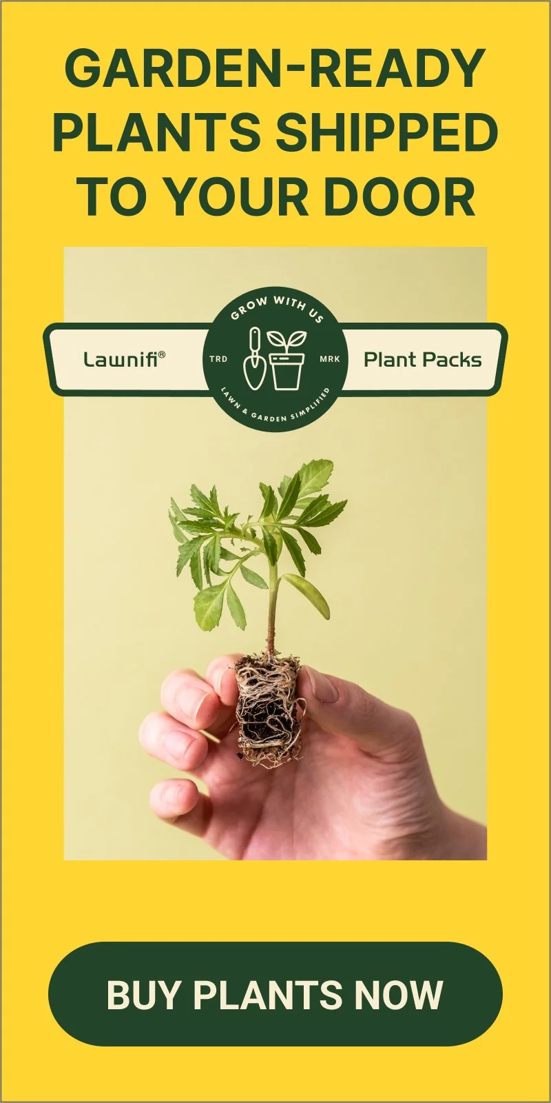 Yellow promotional banner for lawn and garden plant packs, showing a hand holding a small plant with roots, with bold black text stating "GARDEN-READY PLANTS SHIPPED TO YOUR DOOR" and a call-to-action button at the bottom that says "BUY PLANTS NOW."