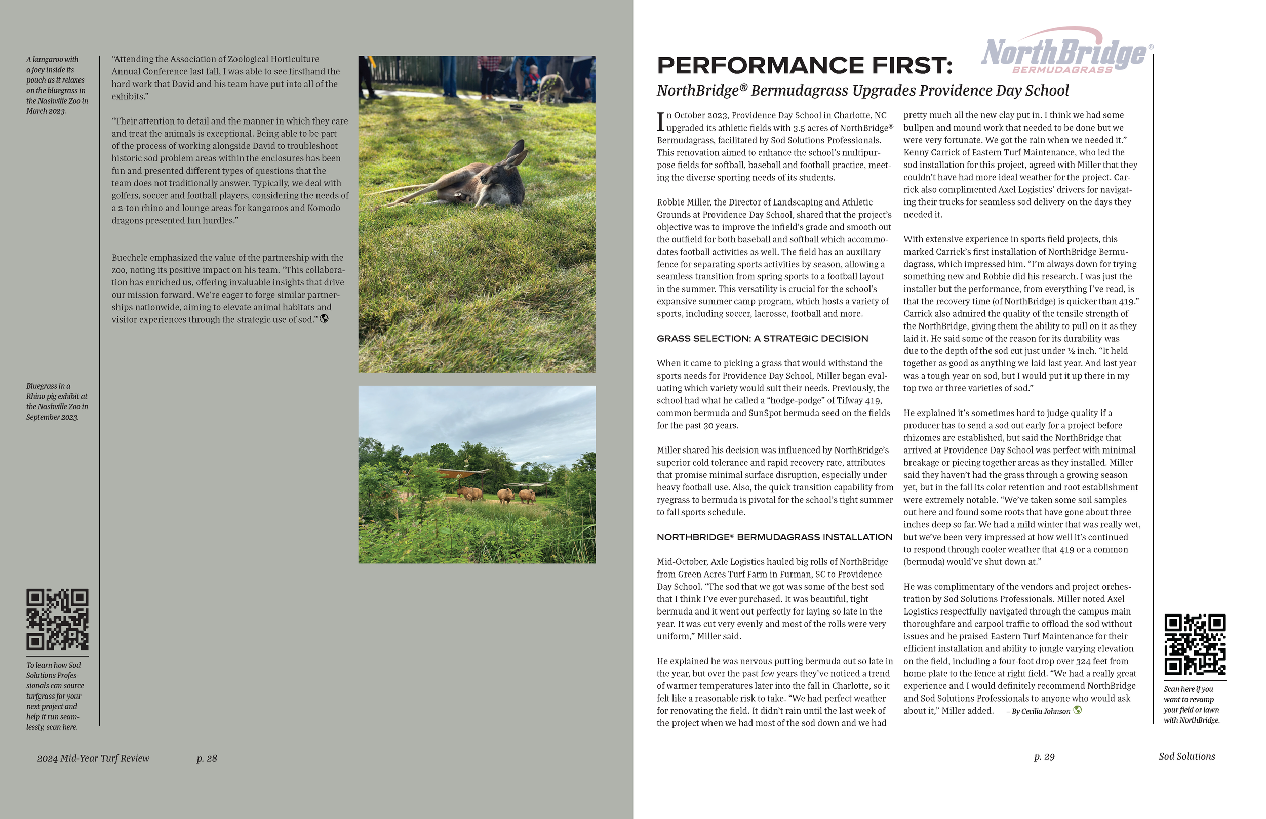 Two photographs on the page of a magazine or newspaper. The first photo shows a kangaroo with a joey inside its pouch, relaxing on the bluegrass in Nashville Zoo in March 2023. The second photo displays a rhino pig exhibit with a group of pigs, plant