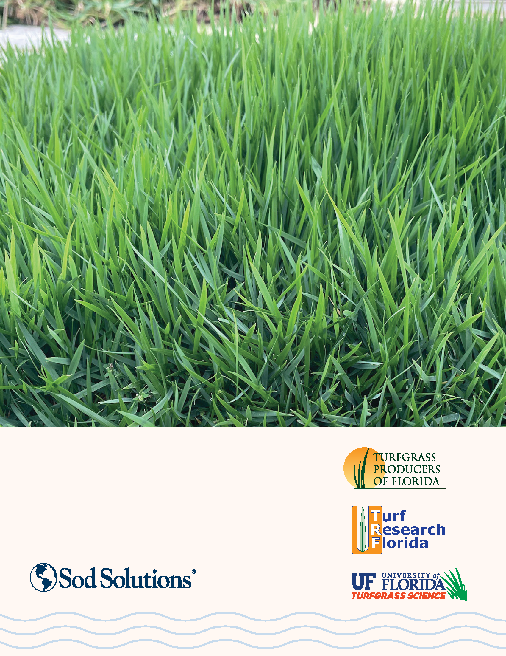 Close-up image of lush green grass blades. The image appears to be part of a presentation or report cover, featuring logos of Turfgrass Producers of Florida, Sod Solutions, University of Florida Turfgrass Science, and Turf Research Florida.