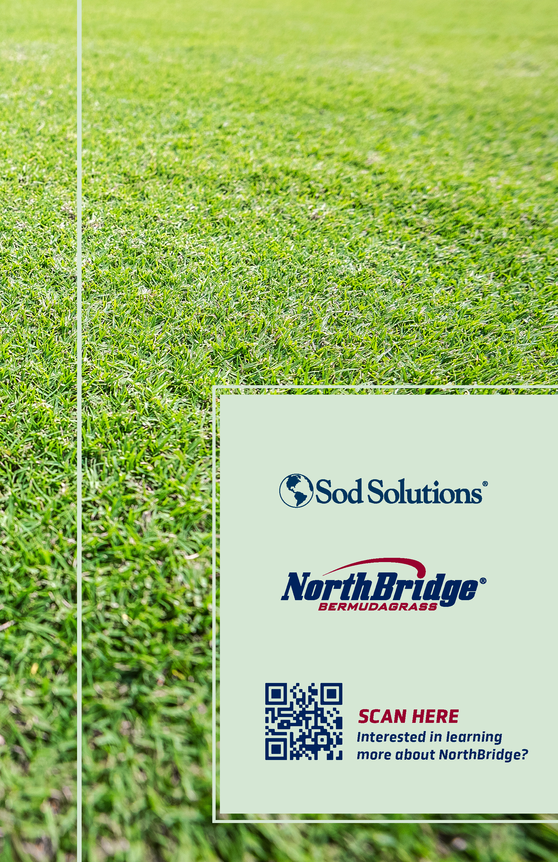 A pamphlet placed on lush green grass displaying logos for Sod Solutions and NorthBridge Bermudagrass, with a QR code and text inviting viewers to learn more about NorthBridge.