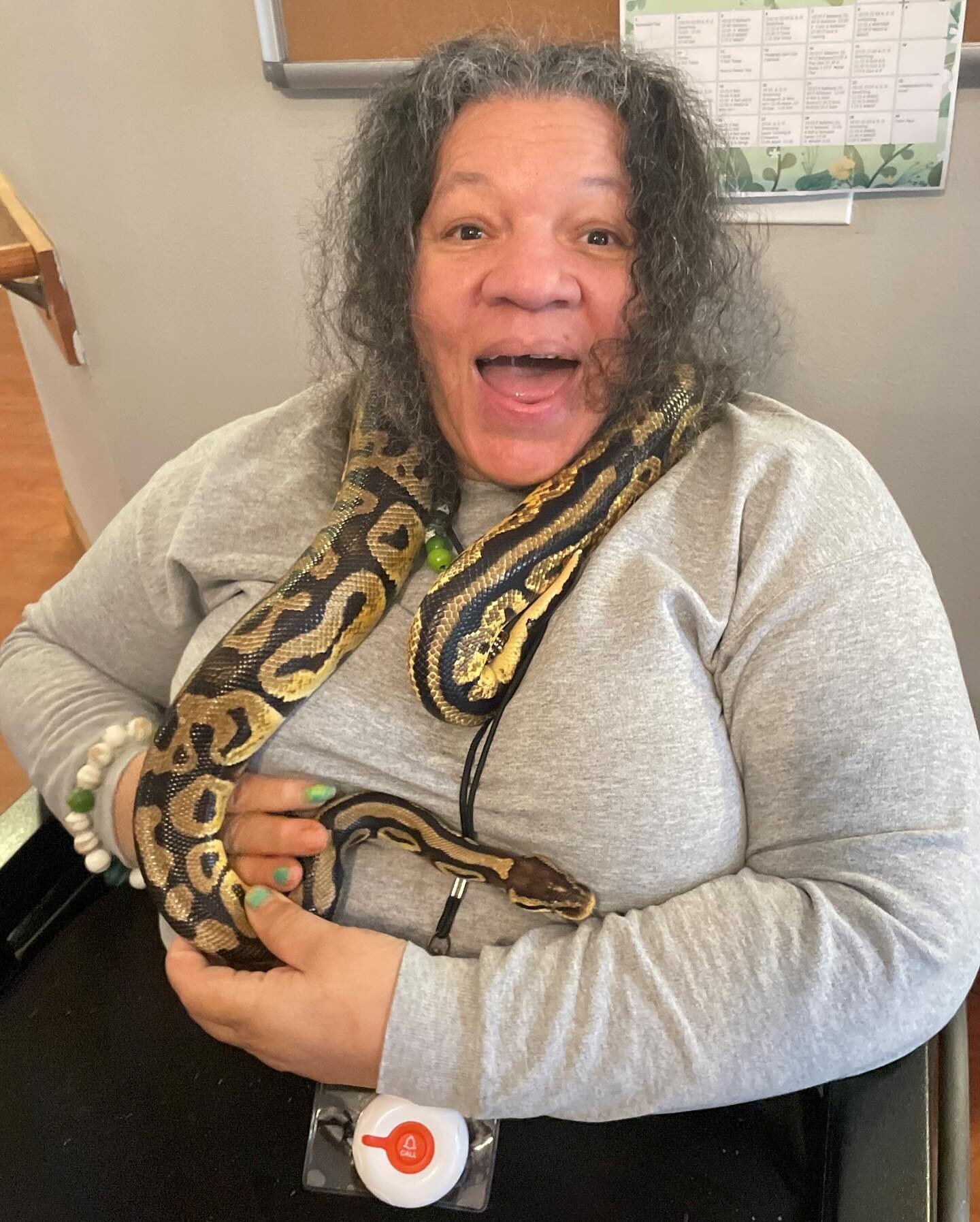 Our Residents got wild with Ms. Kim and her Amazing Animals - can&rsquo;t wait for her next visit! 🐍🐢
.
.
.
#assistedliving #seniorliving #memorycare