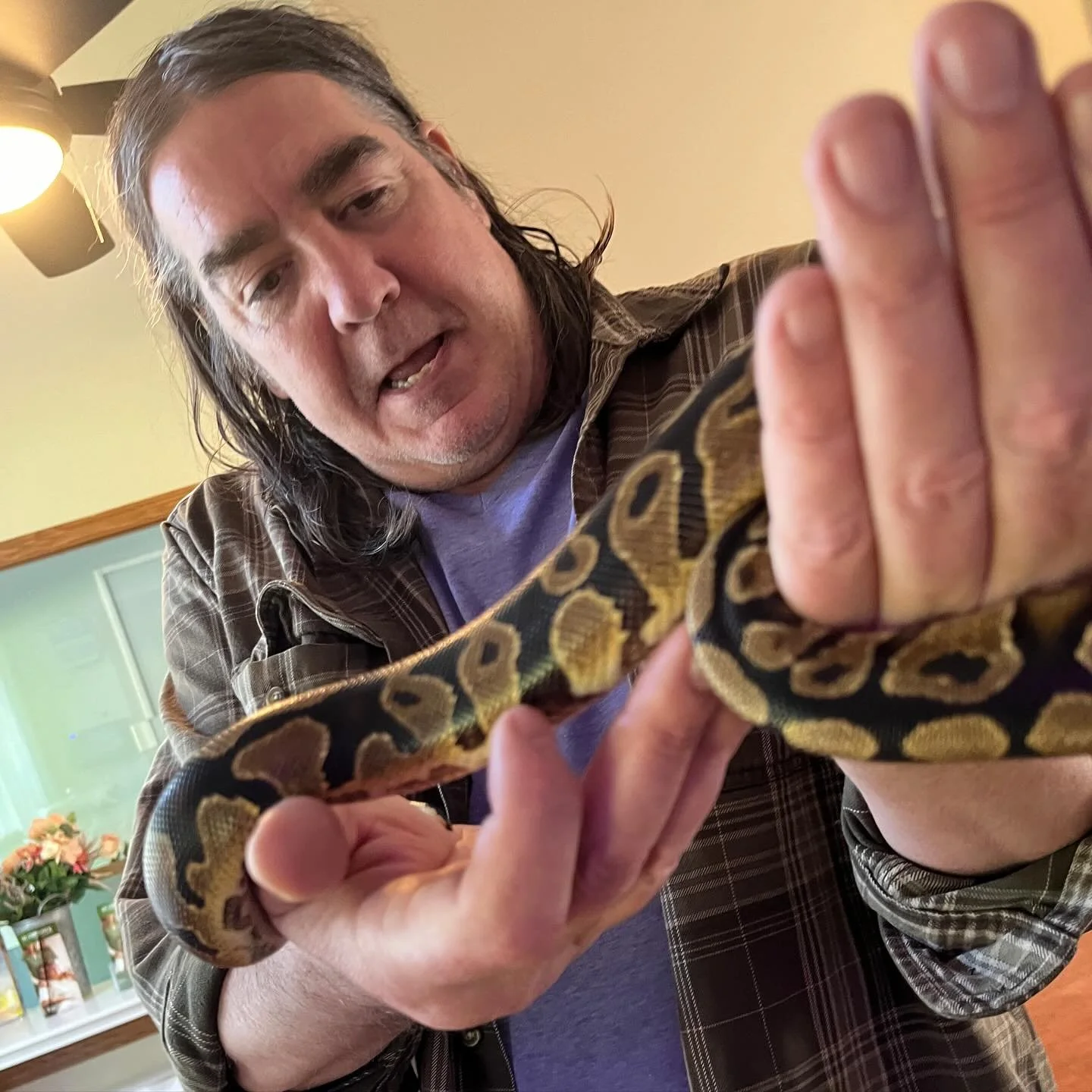 Chess Club — Cottages of Madison