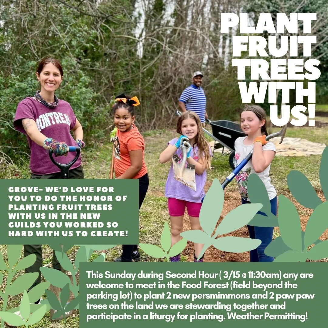 Thank you Grove Church community for your partnership and participation stewarding this land we share and for your co-labor in making it a source of belonging and enrichment to the community! 

With your help we finished preparing the 6 new fruit tre