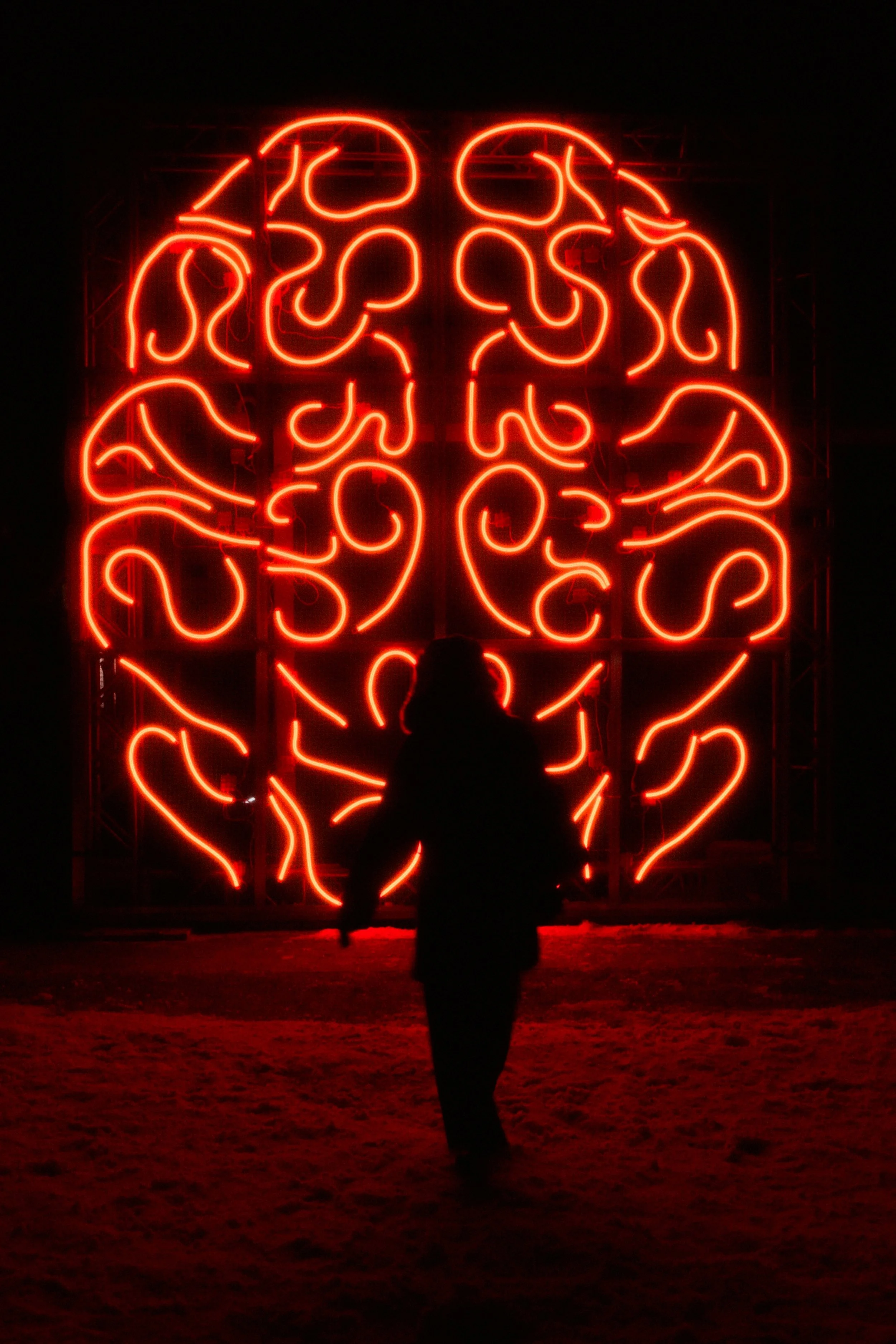 Your Extraordinary Brain: Fascinating Facts and Keys to Better Brain Health