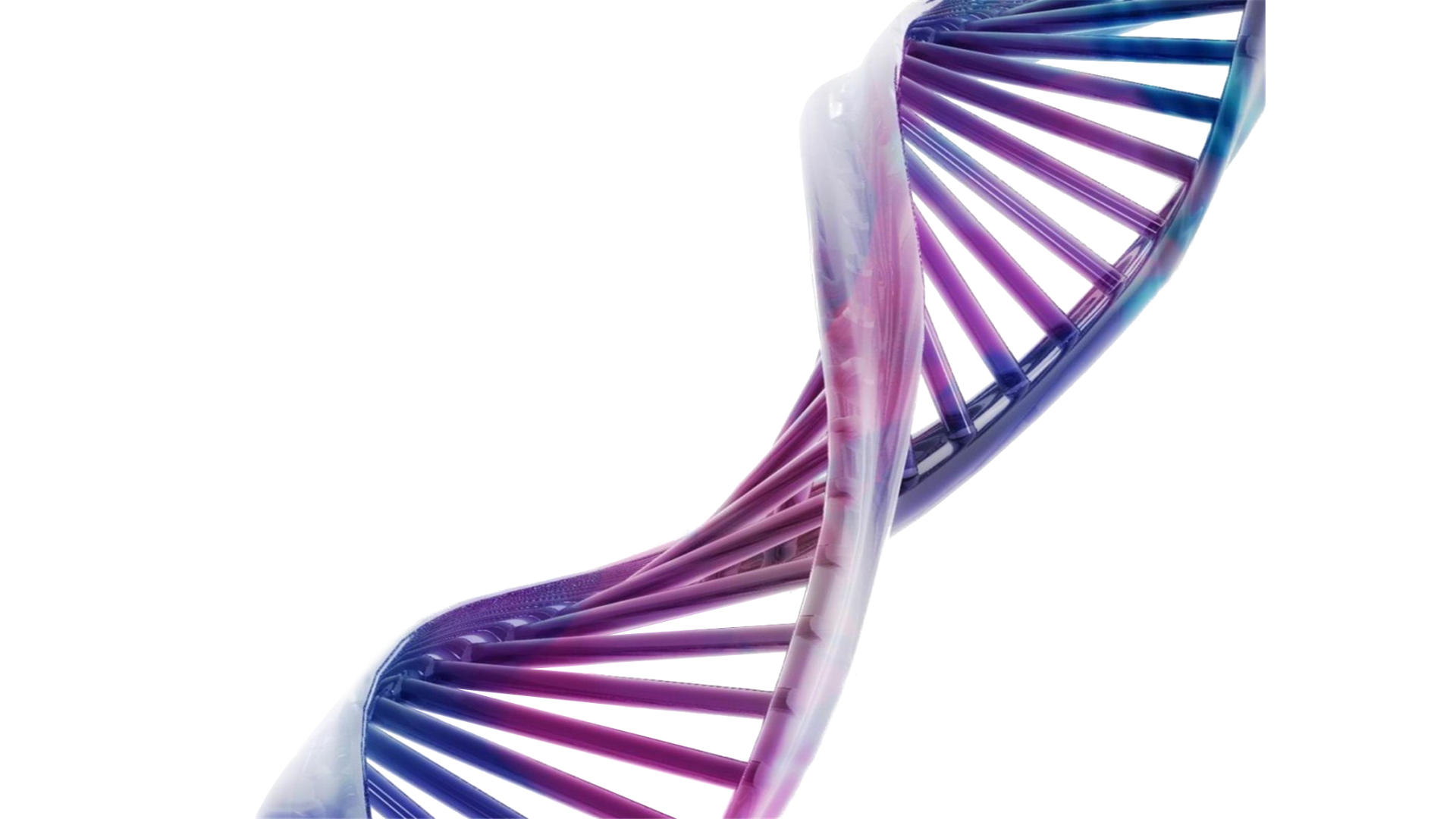 DNA helix graphic