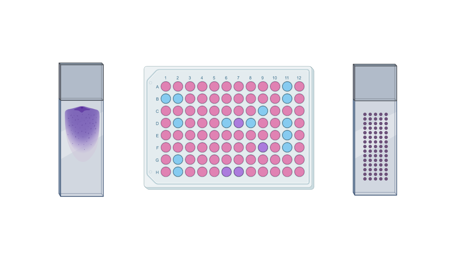 Sample requirements