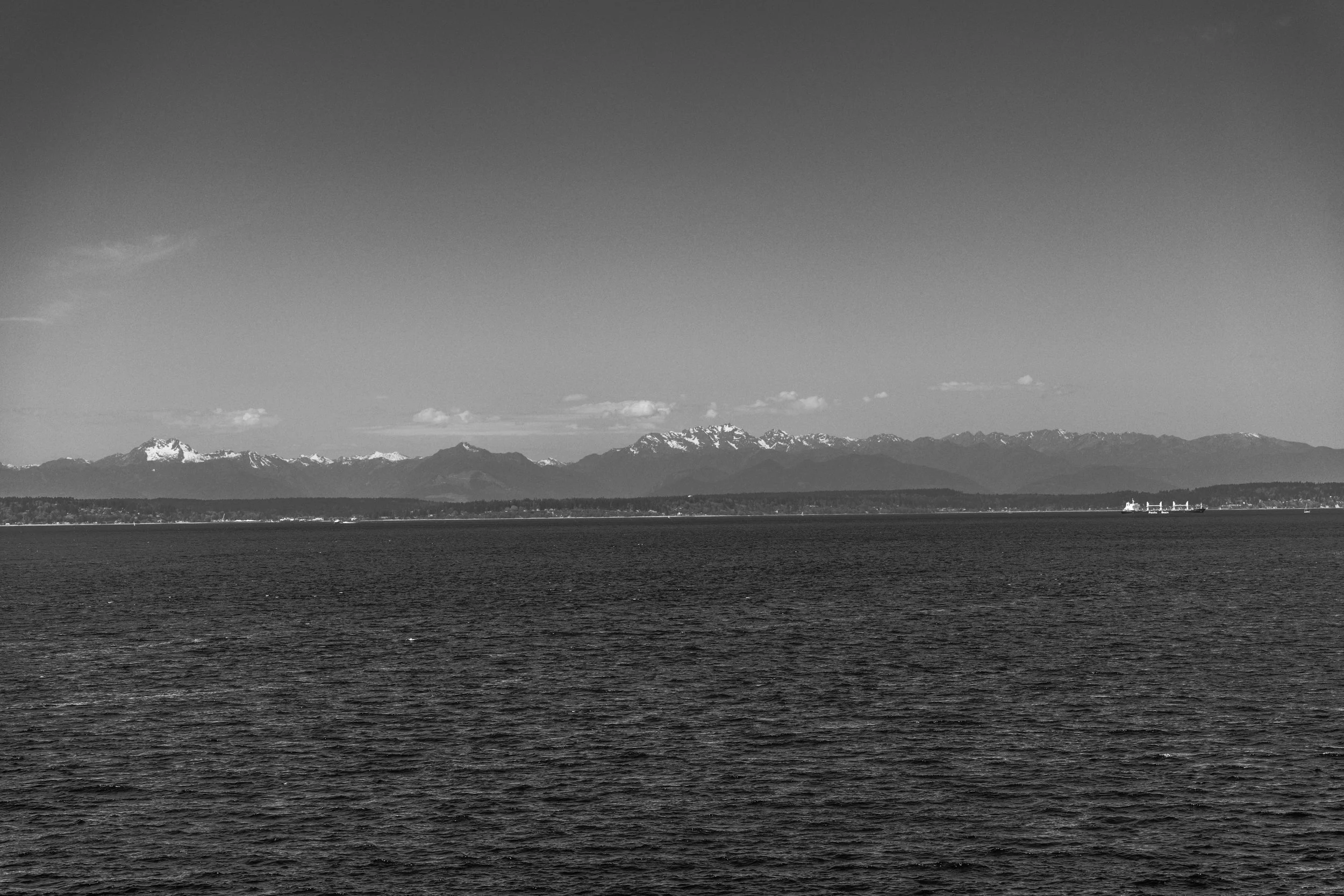 DSC01579.jpg