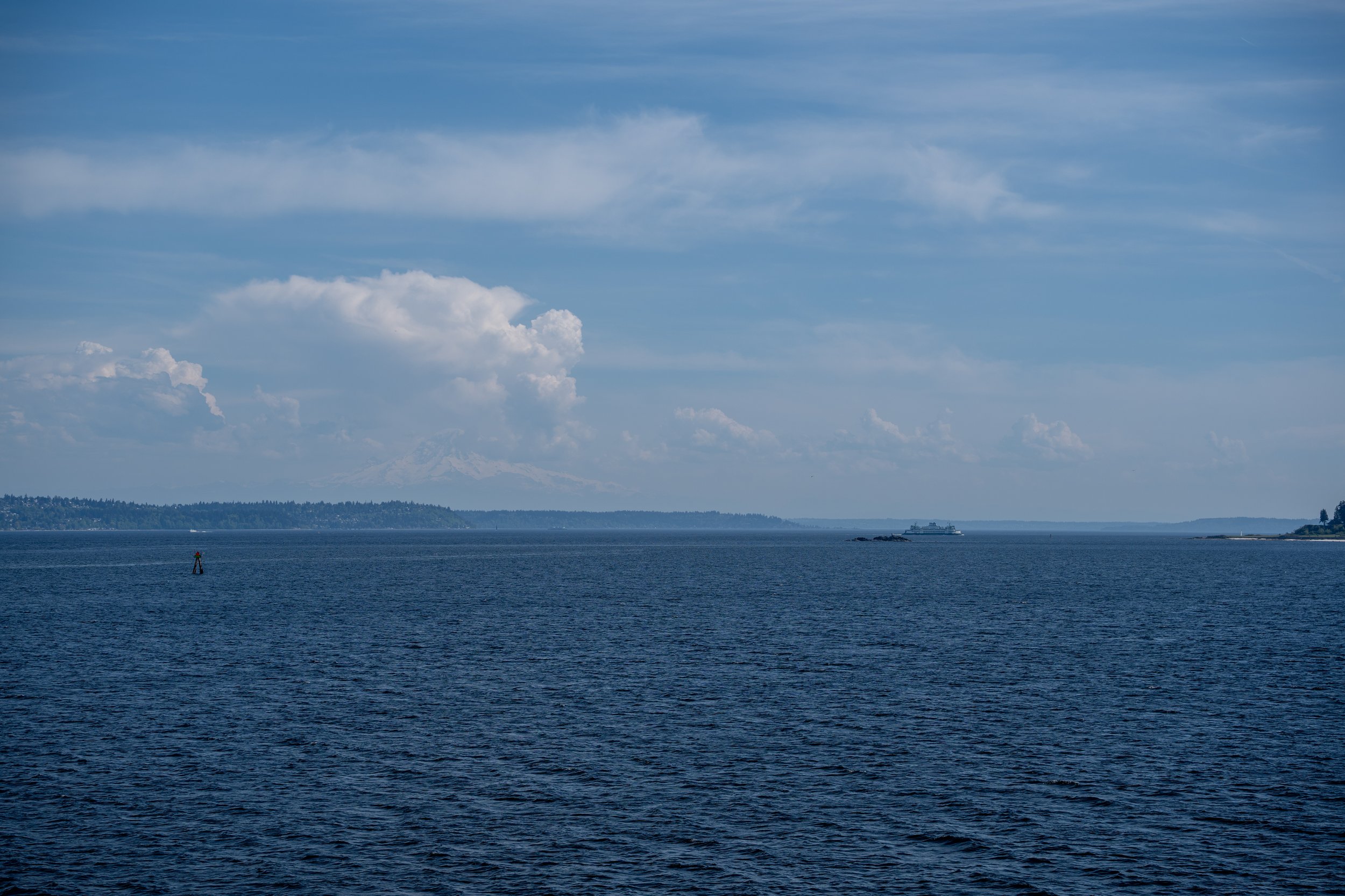DSC01613.jpg