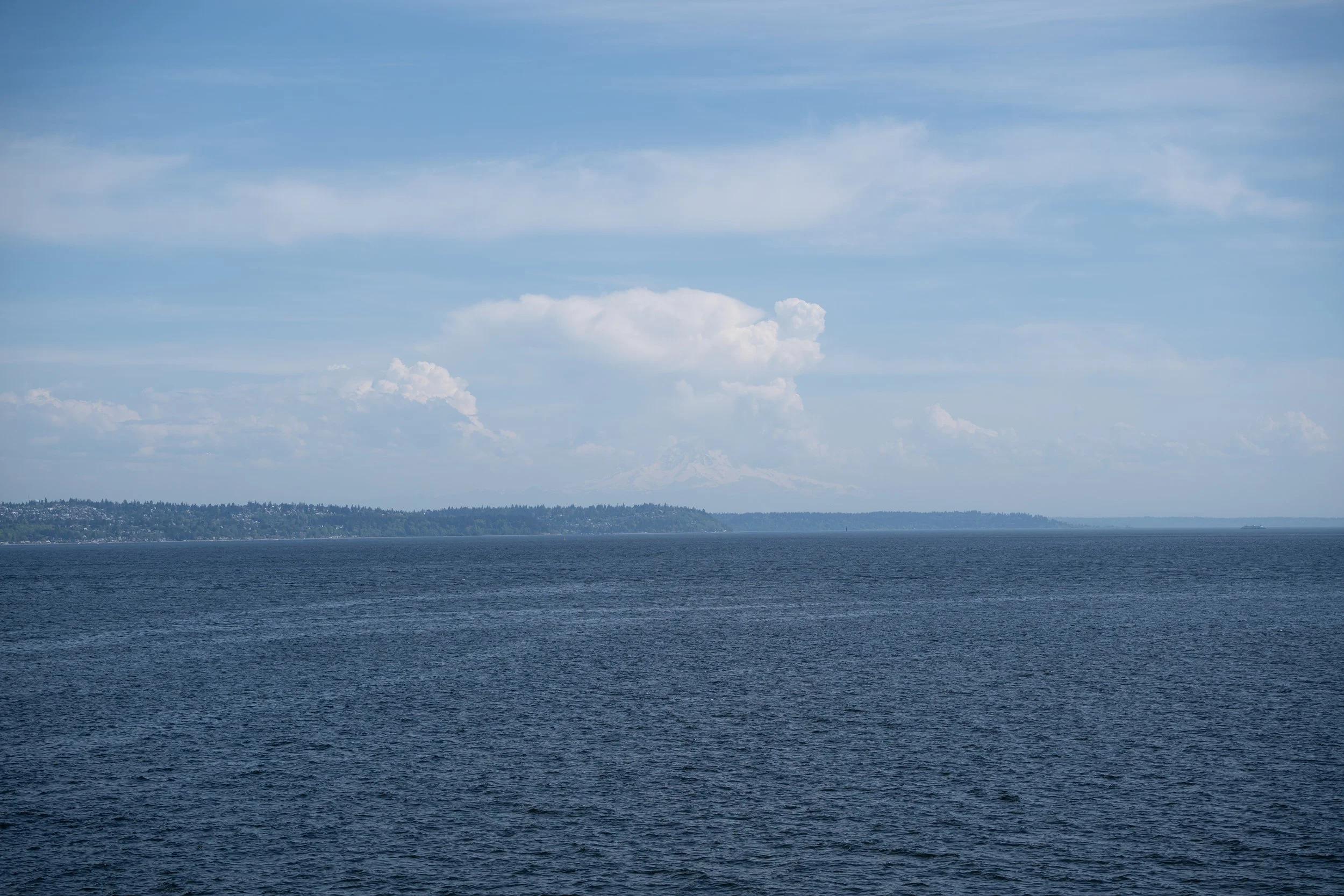 DSC01618.jpg