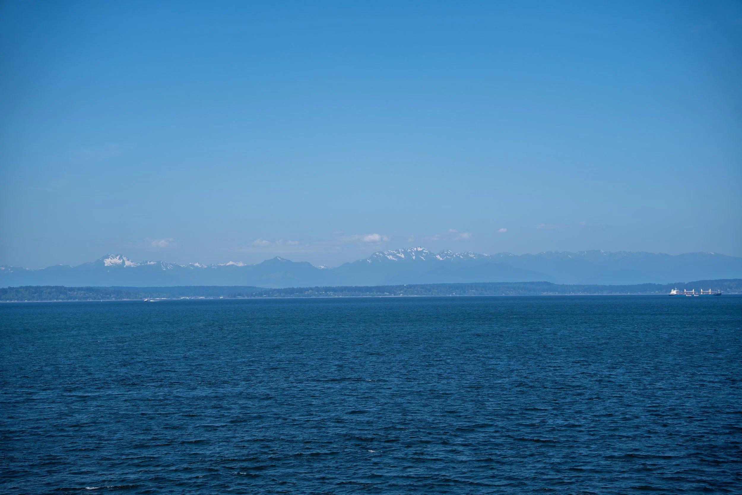 DSC01586.jpg