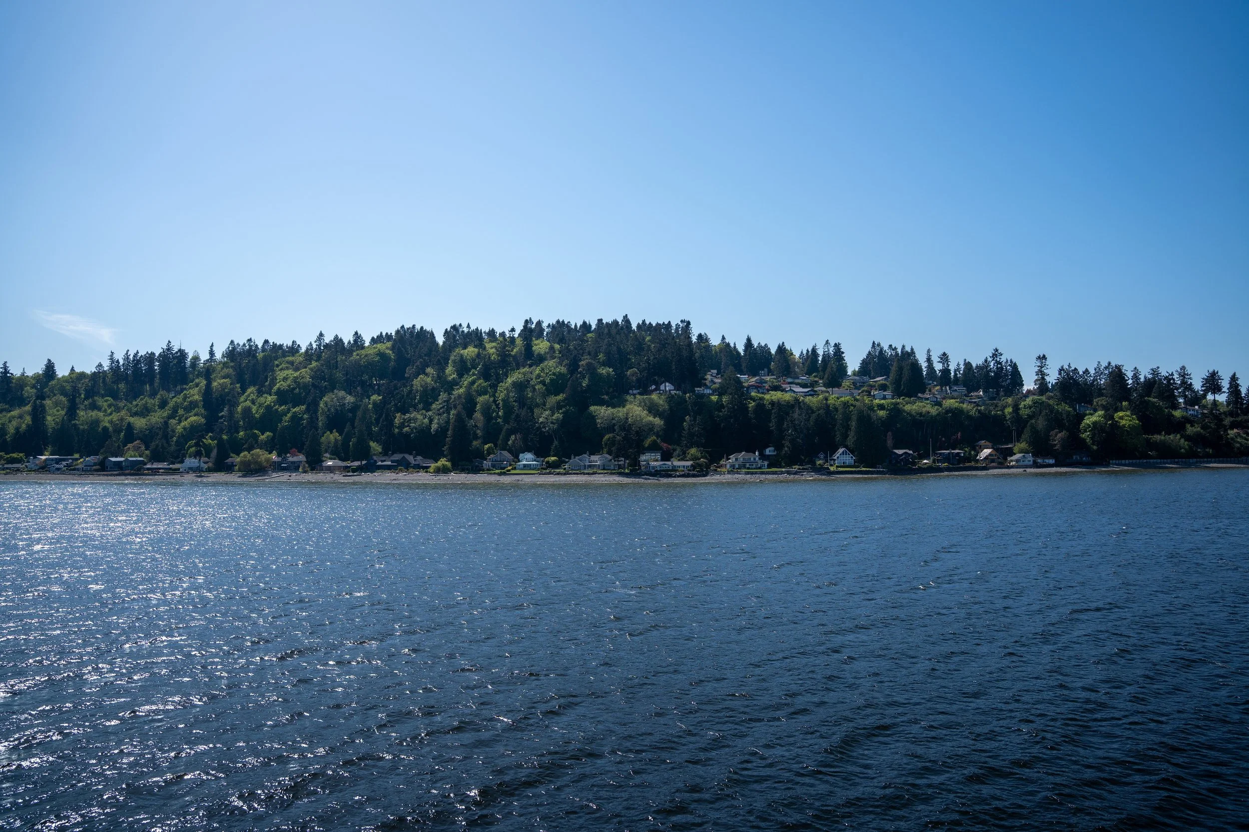 DSC01614.jpg