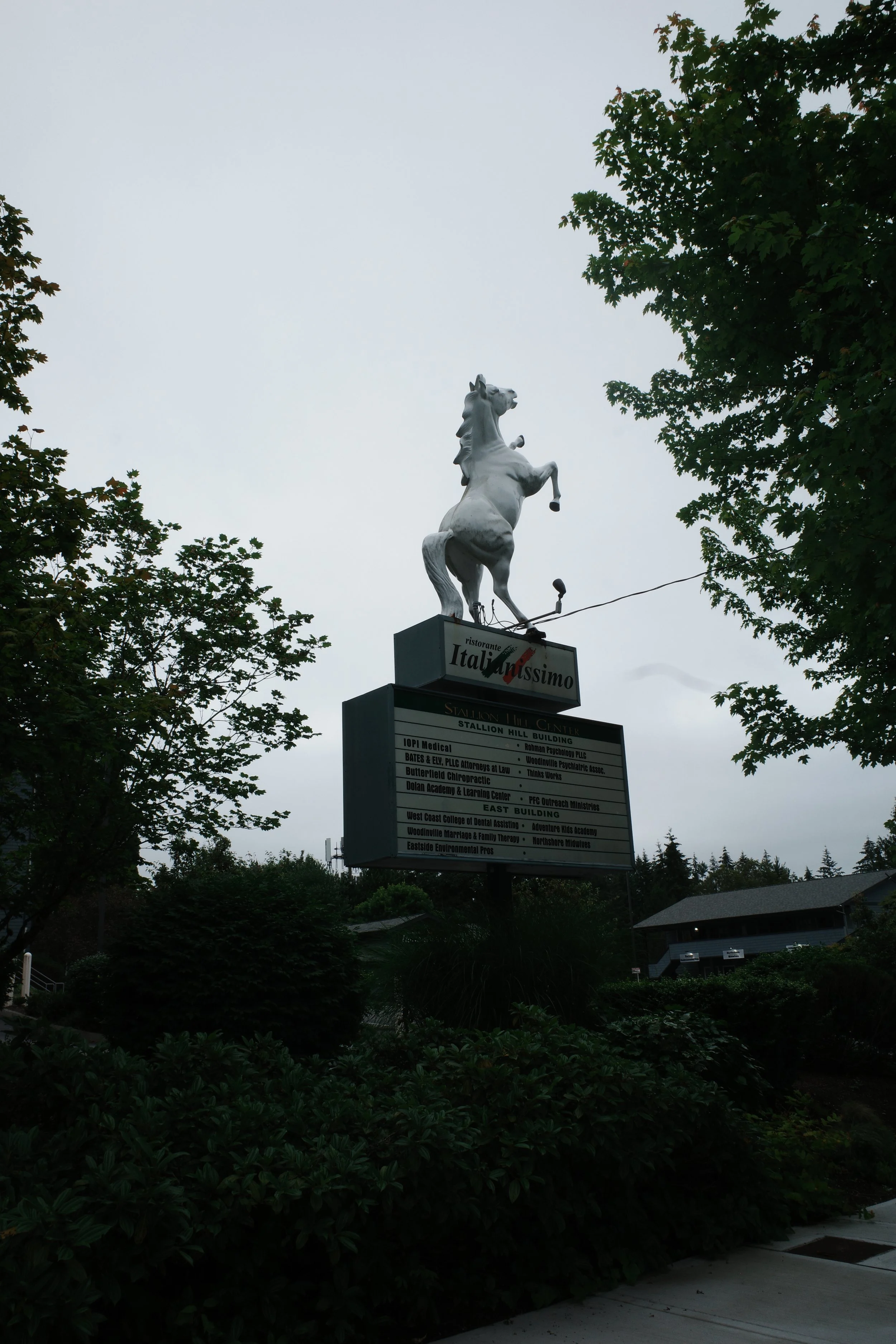 R0003520.jpeg