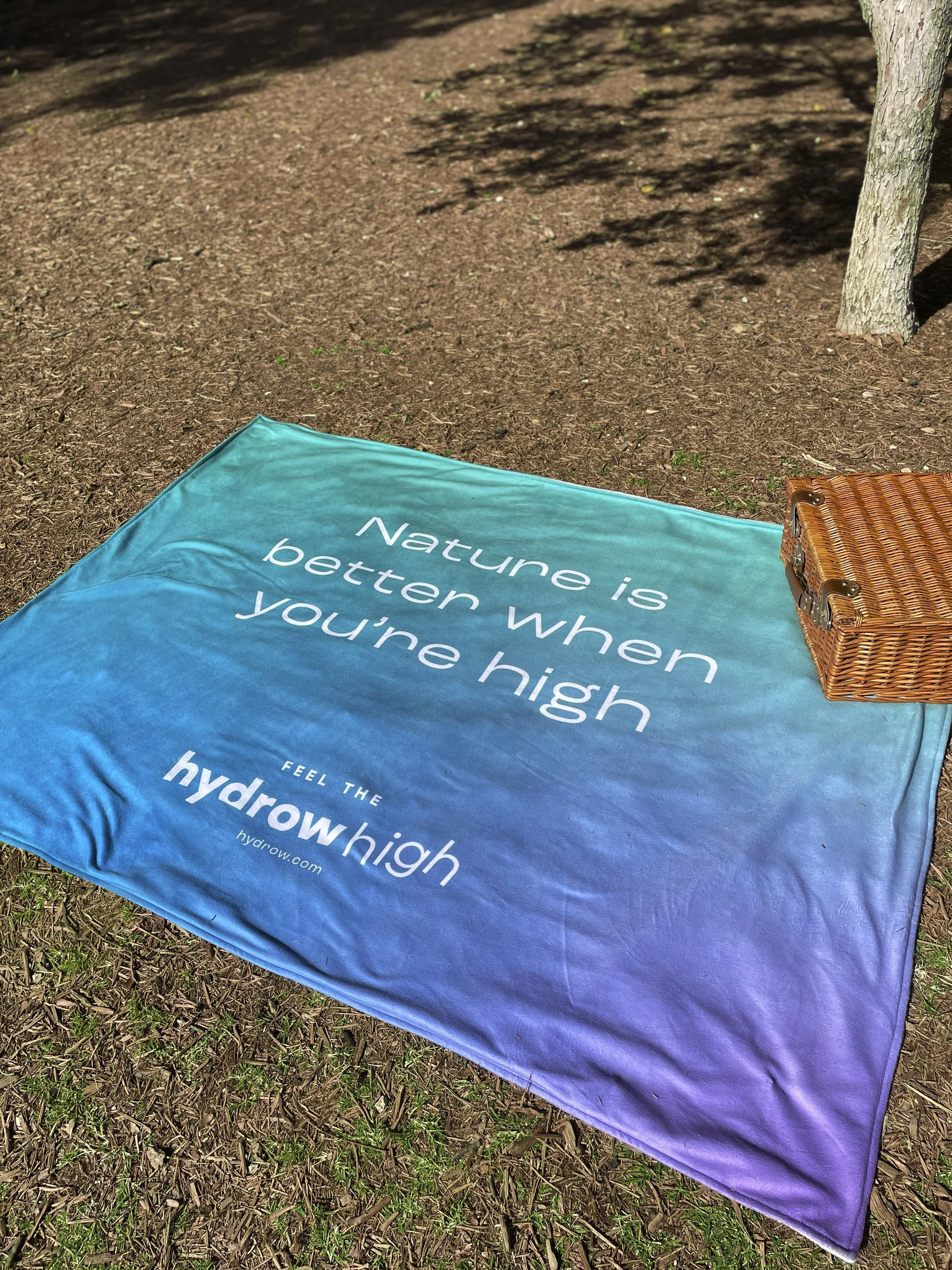 BLANKET RECO_RT2.jpg