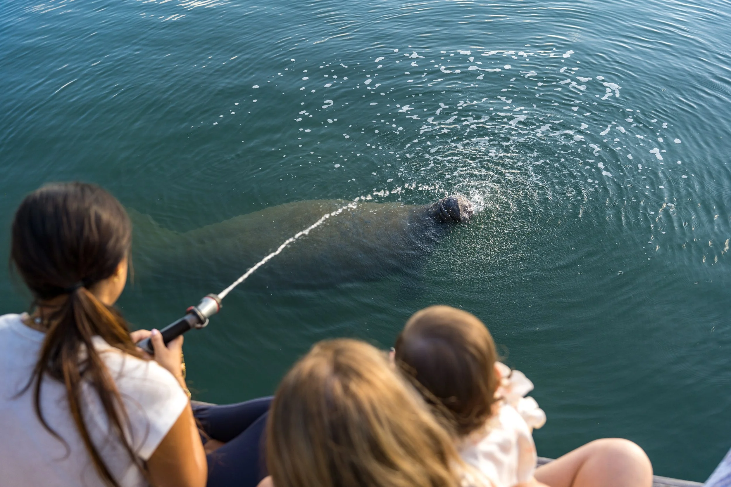 Health & Wellness 2026 - Credit by Adrian Gonzalez605.jpg